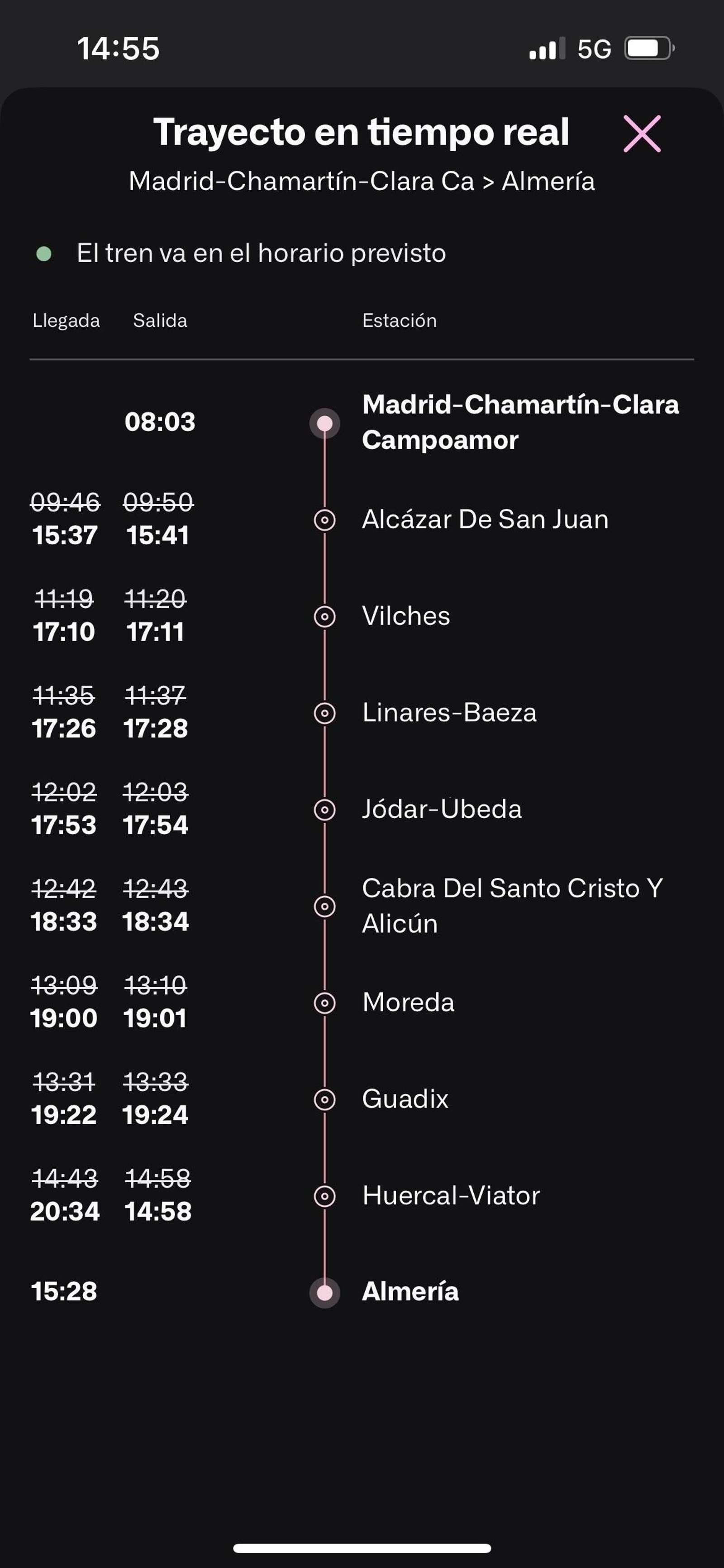 La aplicación de Renfe indicaba que el tren estaba en el horario previsto.