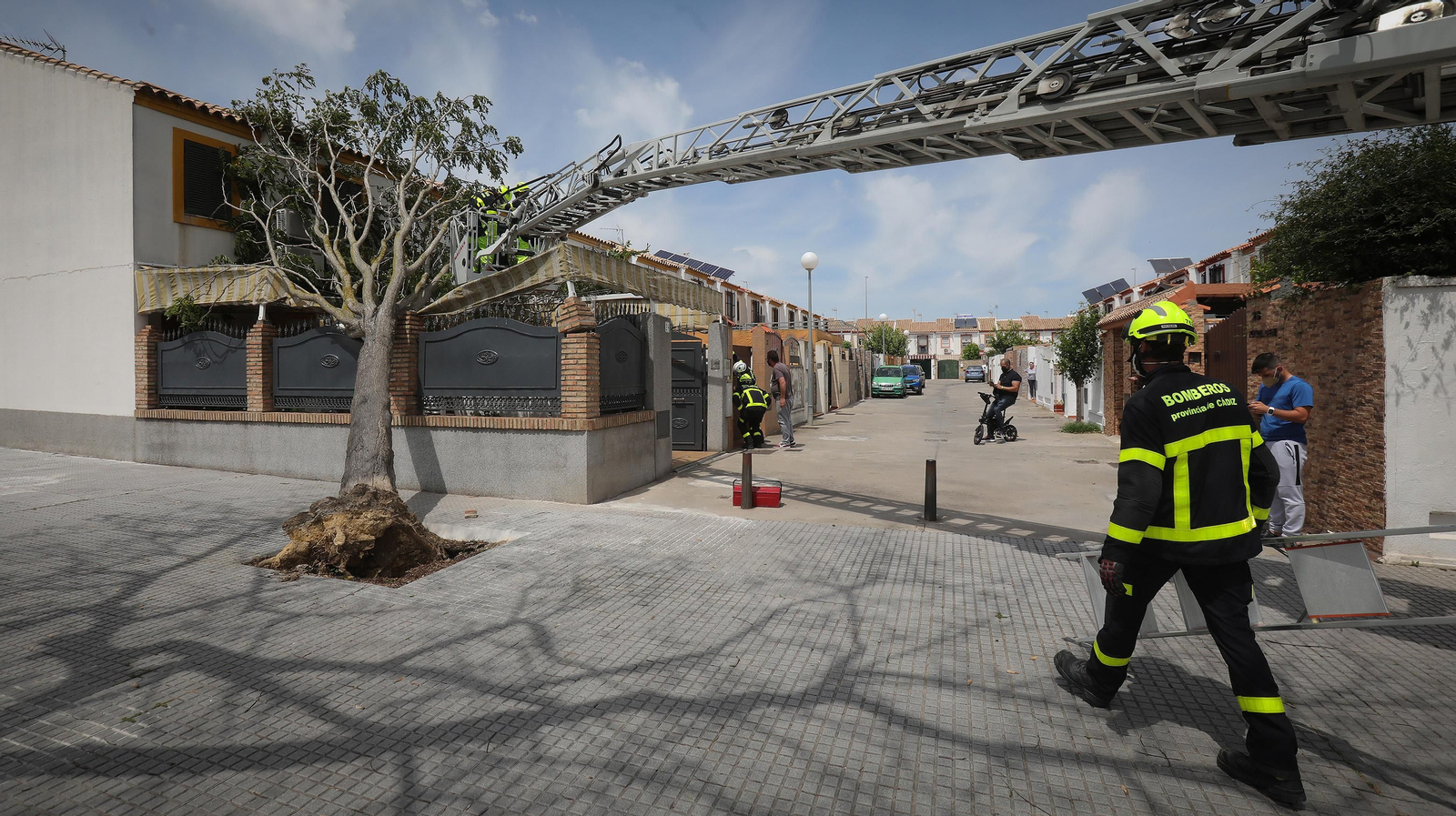 Cae un árbol en una casa por el fuerte temporal de viento que azota Jerez