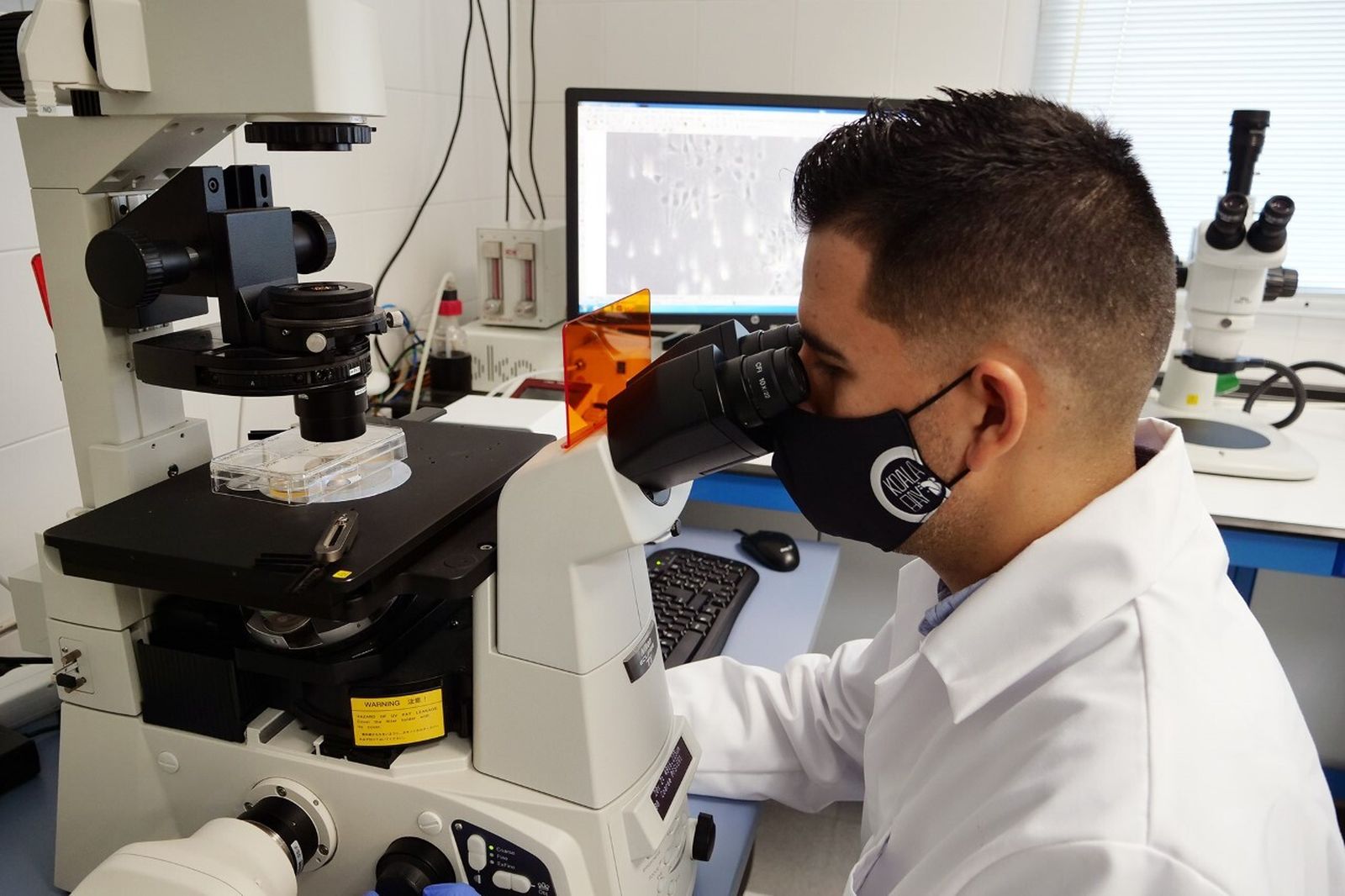 El investigador Juan García León trabaja en el microscopio.