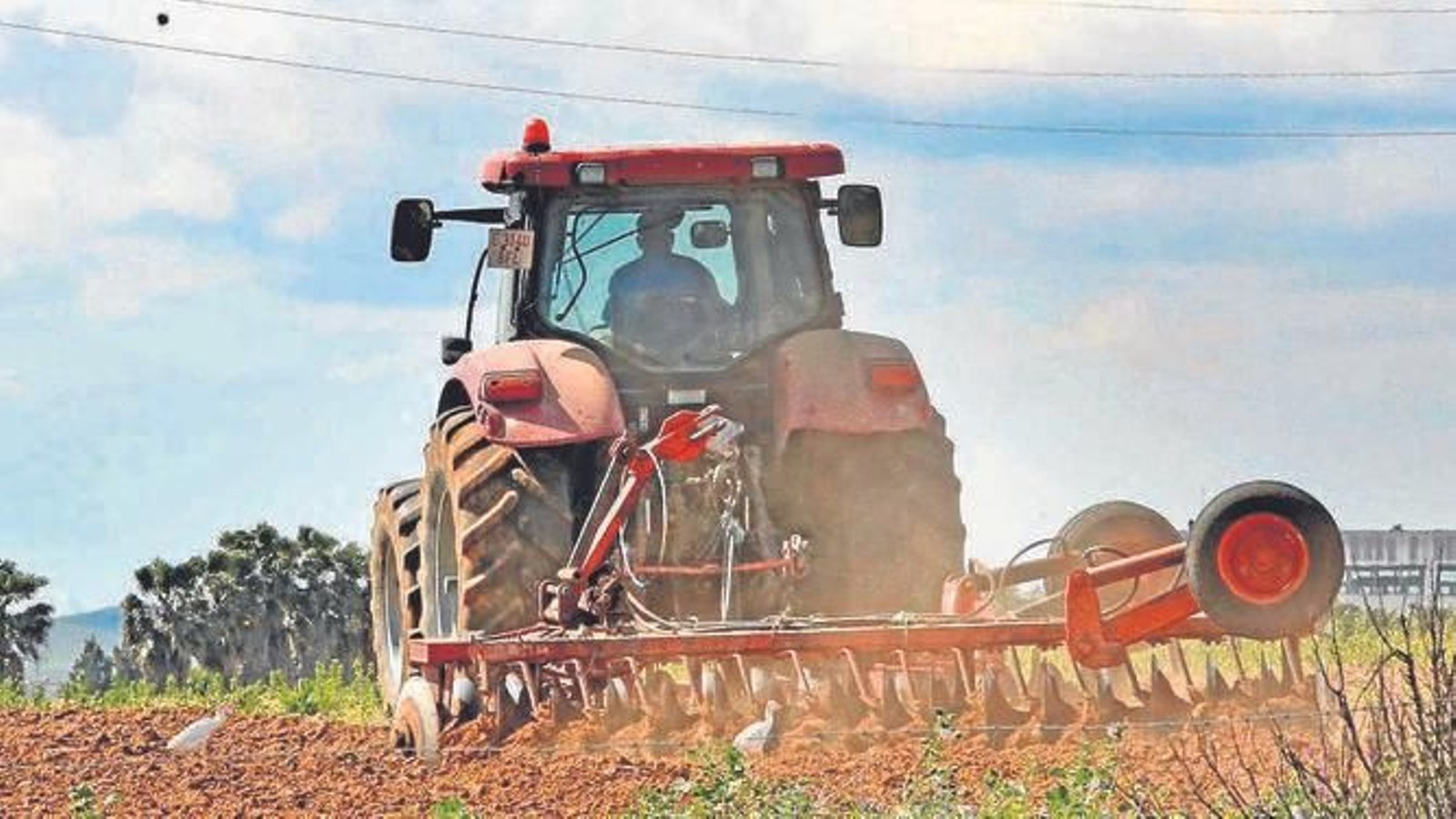 Un agricultor prepara la tierra para las siembras con ayuda de un tractor. Un agricultor prepara la tierra para las siembras con ayuda de un tractor.