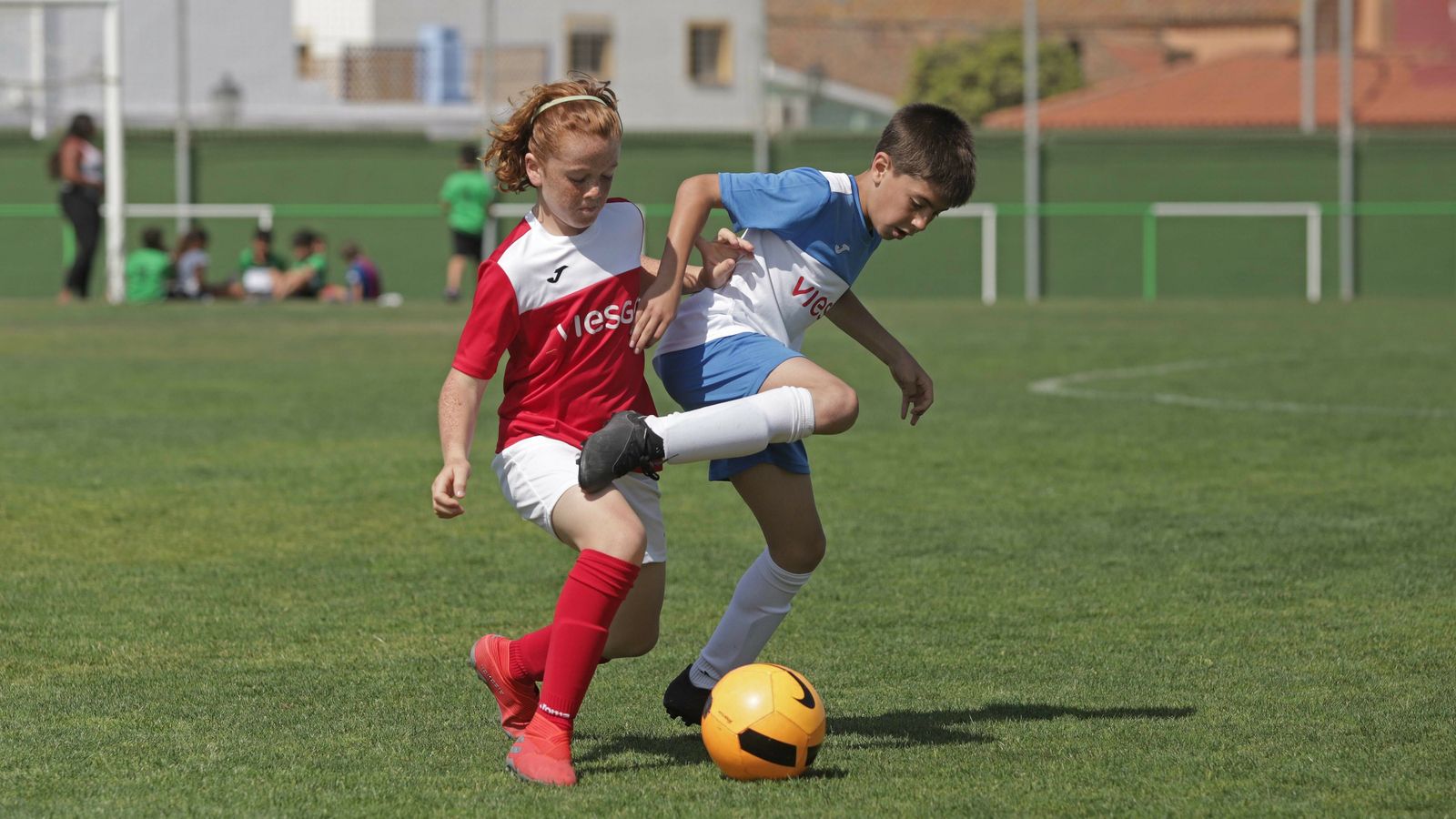 Las mejores fotos de la última jornada de la VII Copa Viesgo 2019