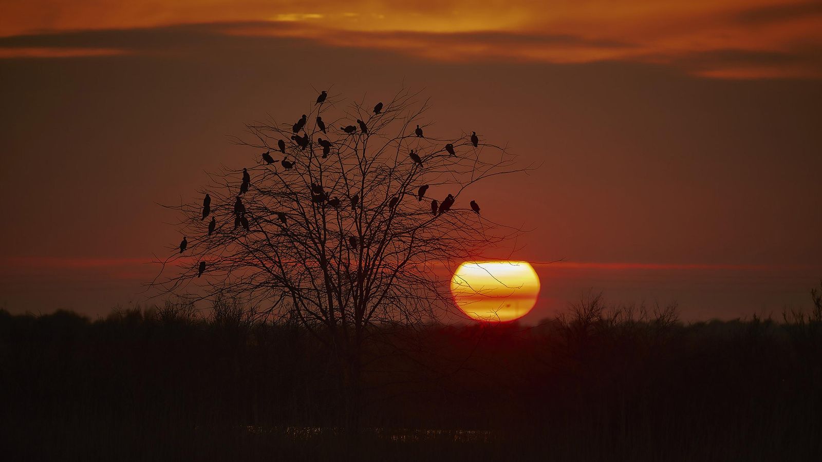 Doñana, imágenes de un mosaico de ecosistemas único