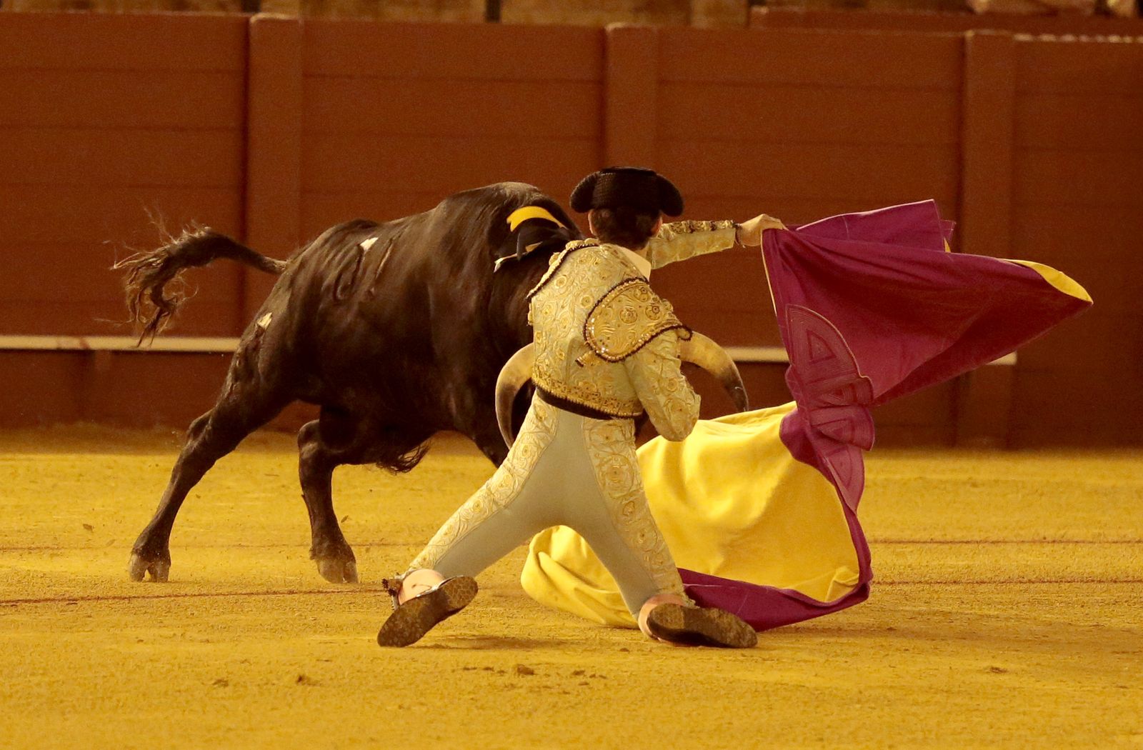 Las imágenes de la primera novillada de promoción en La Maestranza