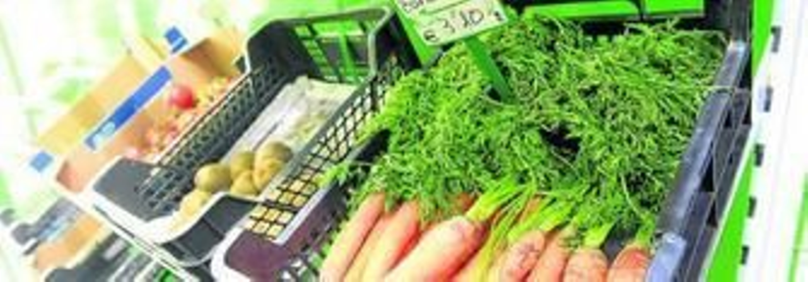 Zanahorias ecológicas de la tienda EcoGranada.