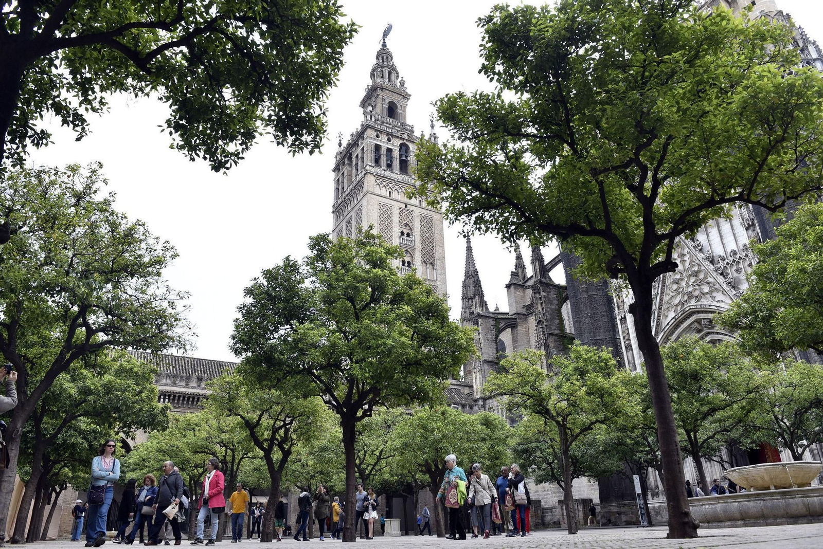 Una plataforma civil lleva varios años pidiendo que la Giralda y el Patio de los Naranjos sean de titularidad pública.