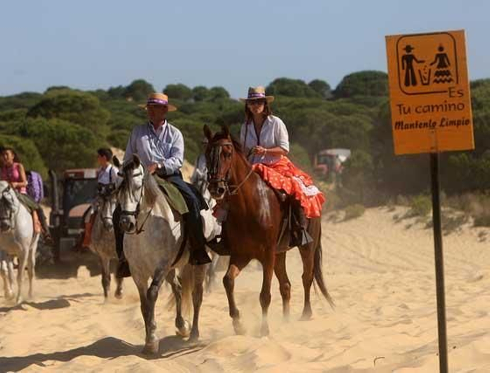 Una pareja de caballistas saliendo de un pinar y adentrándose en las arenas. 

Foto: Juan Carlos Toro