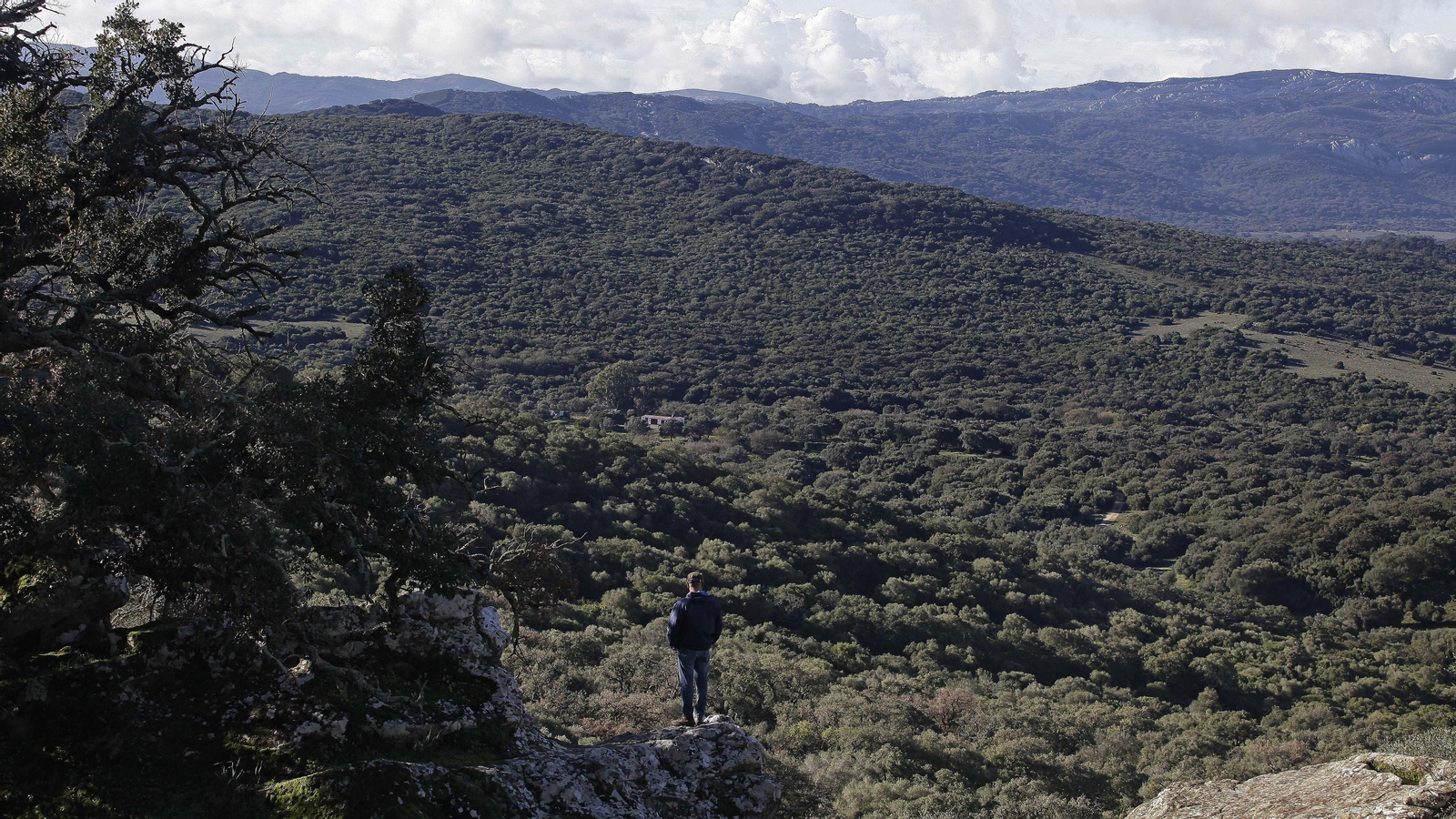 Sendero de la finca Murta en Los Barrios