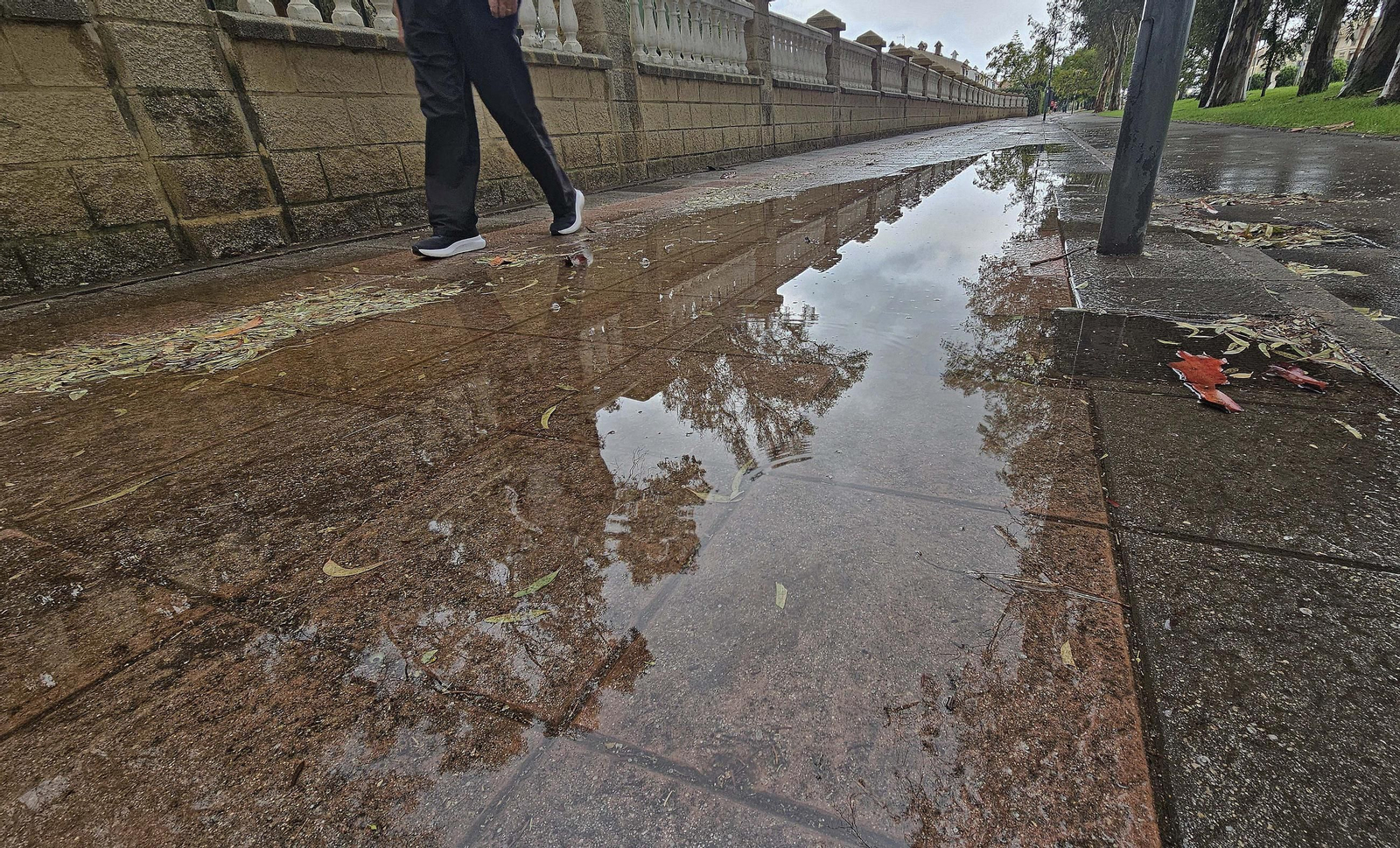 Las primeras lluvias de otoño, en imágenes