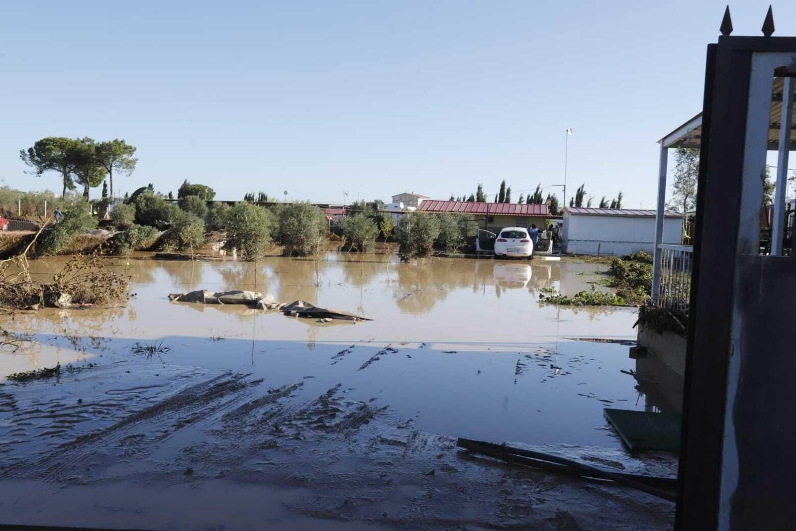 Las imágenes de las grandes inundaciones en Los Palmares entre San Juan y Trigueros