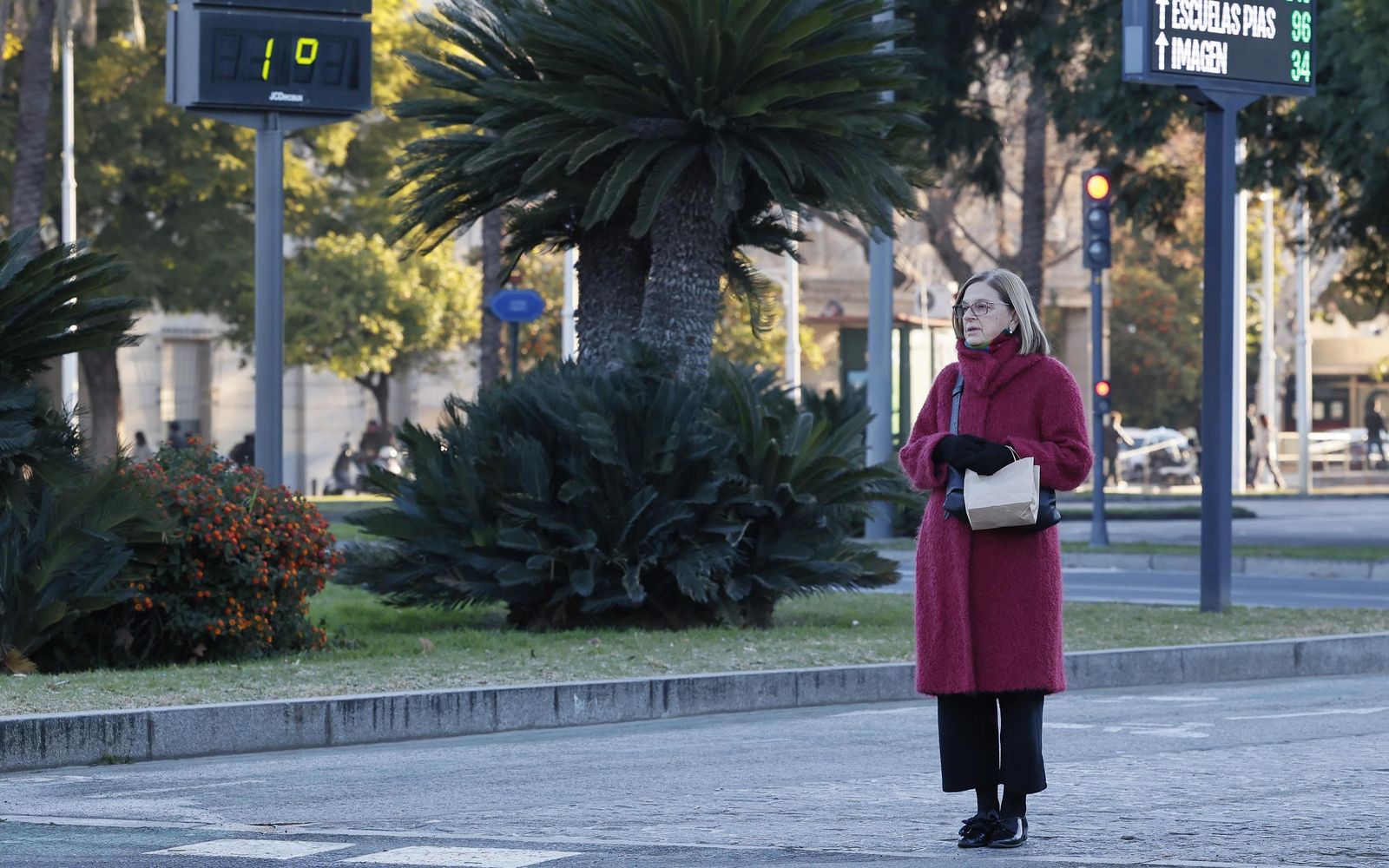Las fotos del frío en Sevilla
