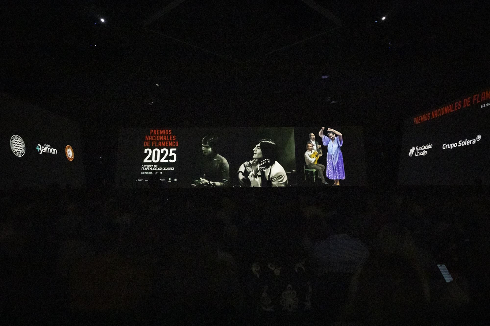 Las imágenes de los Premios Nacionales de Flamenco de la Cátedra de Flamencología