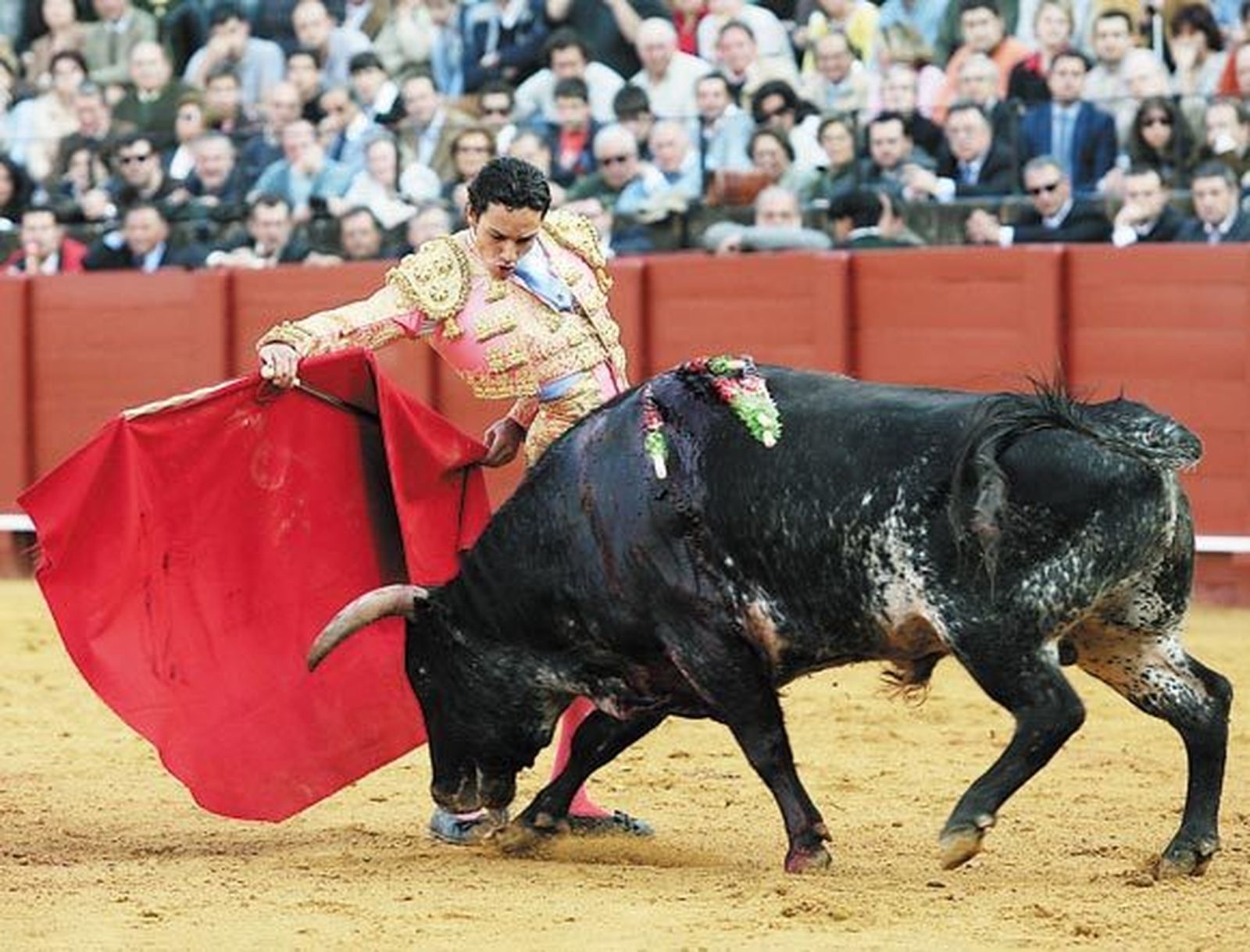 Alfonso Oliva Soto: En puertas de la alternativa