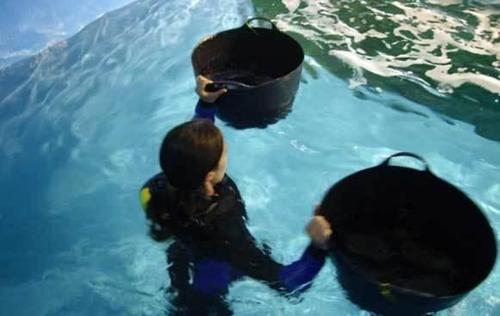 El acuario abrirá sus puertas el 30 de septiembre