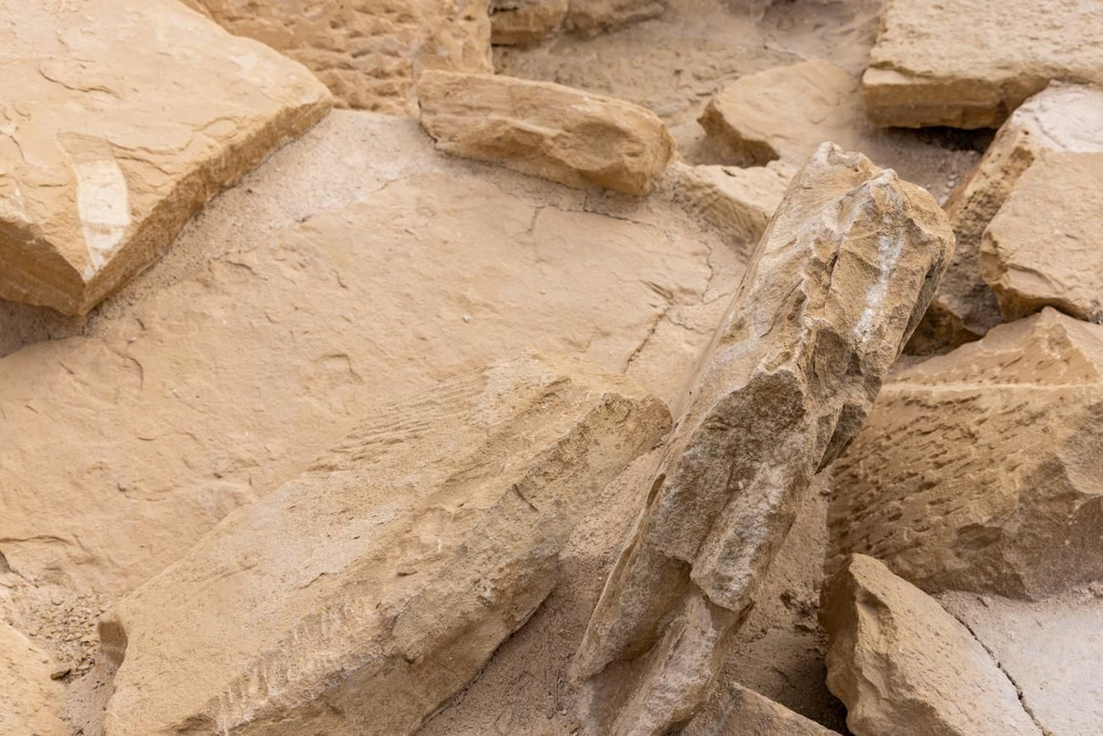 Inauguración del anfiteatro romano de Obulco, en Porcuna