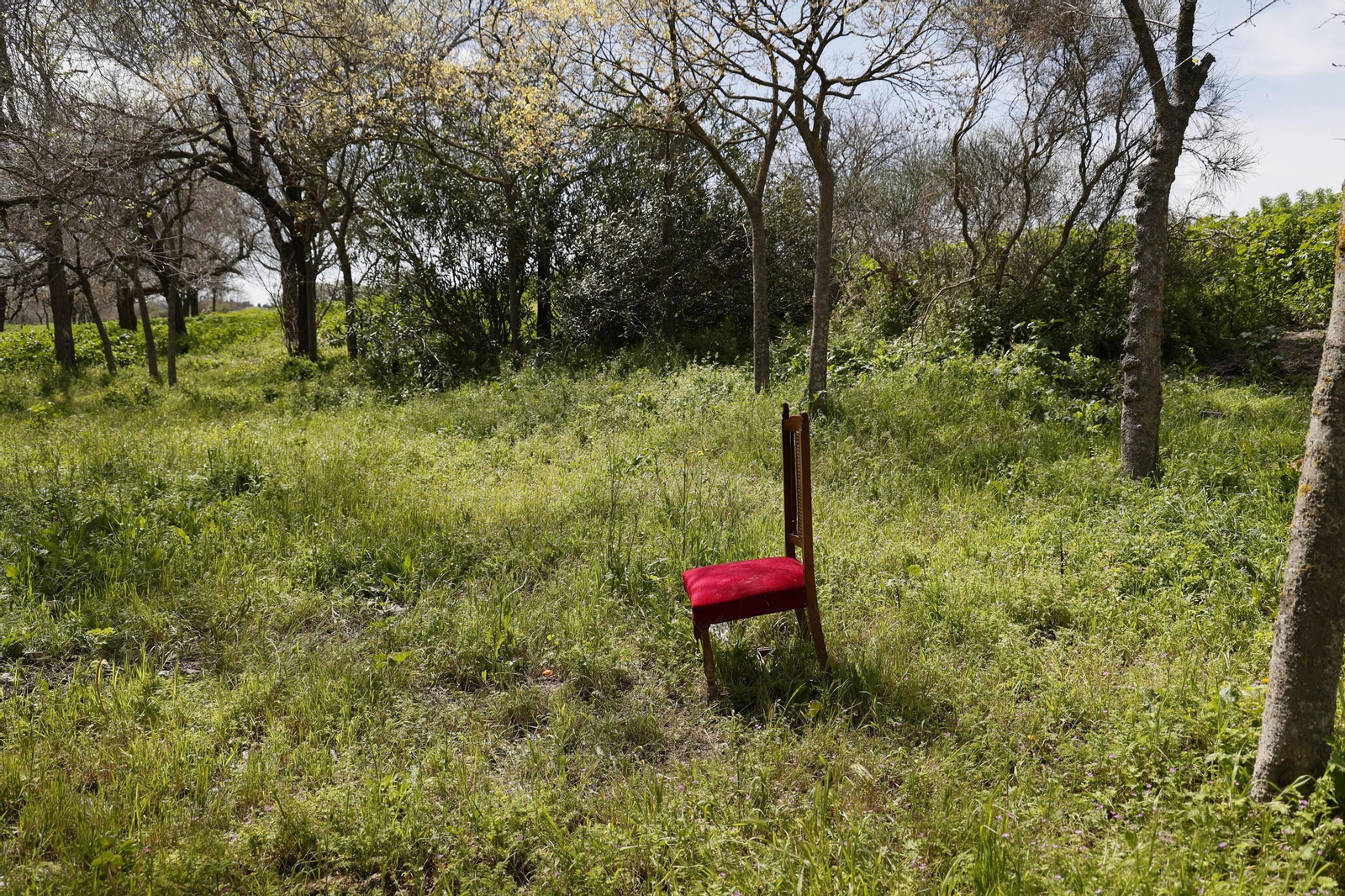 Las imágenes de la inundación del poblado chabolista junto a la orilla del Guadalquivir