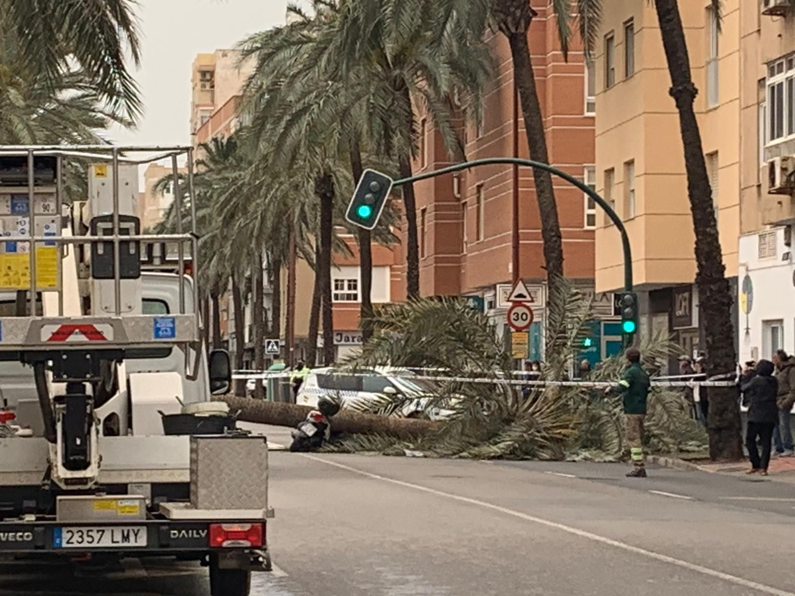 Una palmera causa un brutal accidente en Almería