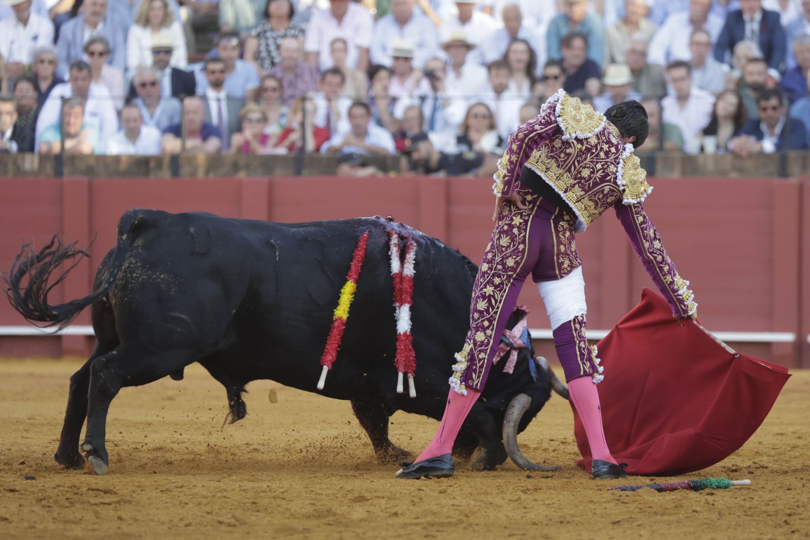 Las imágenes del festejo