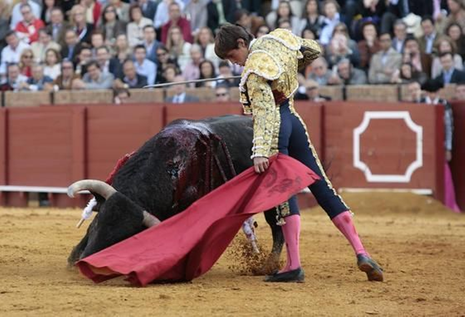 Tras la cogida sufrida, Delgado comenzó a cojear ostensiblemente. 

Foto: Juan Carlos Muñoz