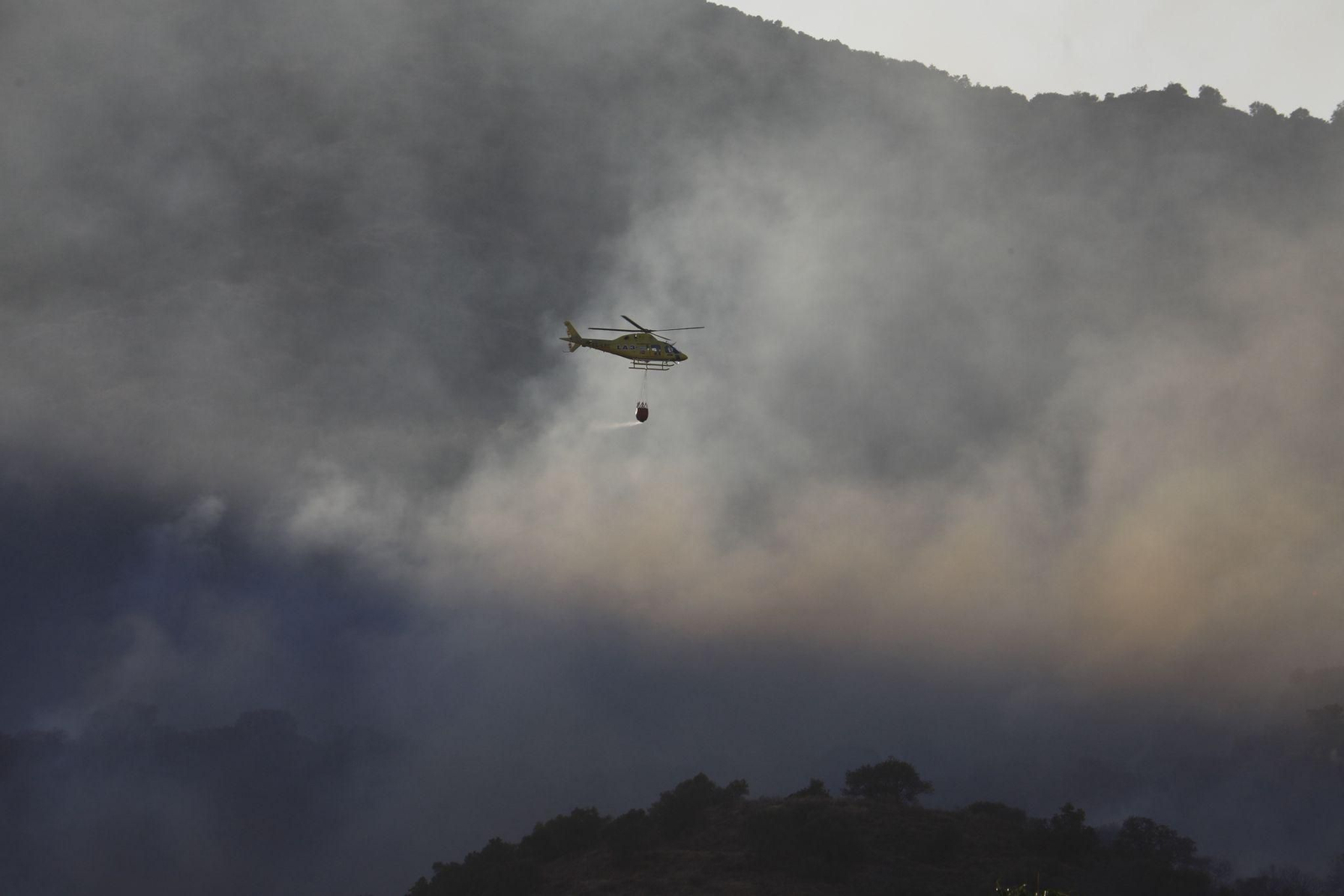 Las imágenes del incendio en el paraje de la Albaida en Córdoba