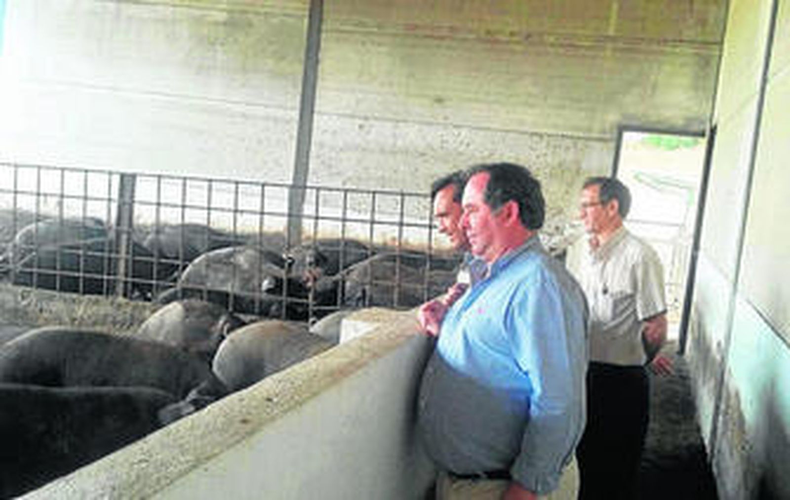 El delegado de Agricultura, Pesca y Desarrollo Rural pudo conocer una de las granjas existentes en el municipio.