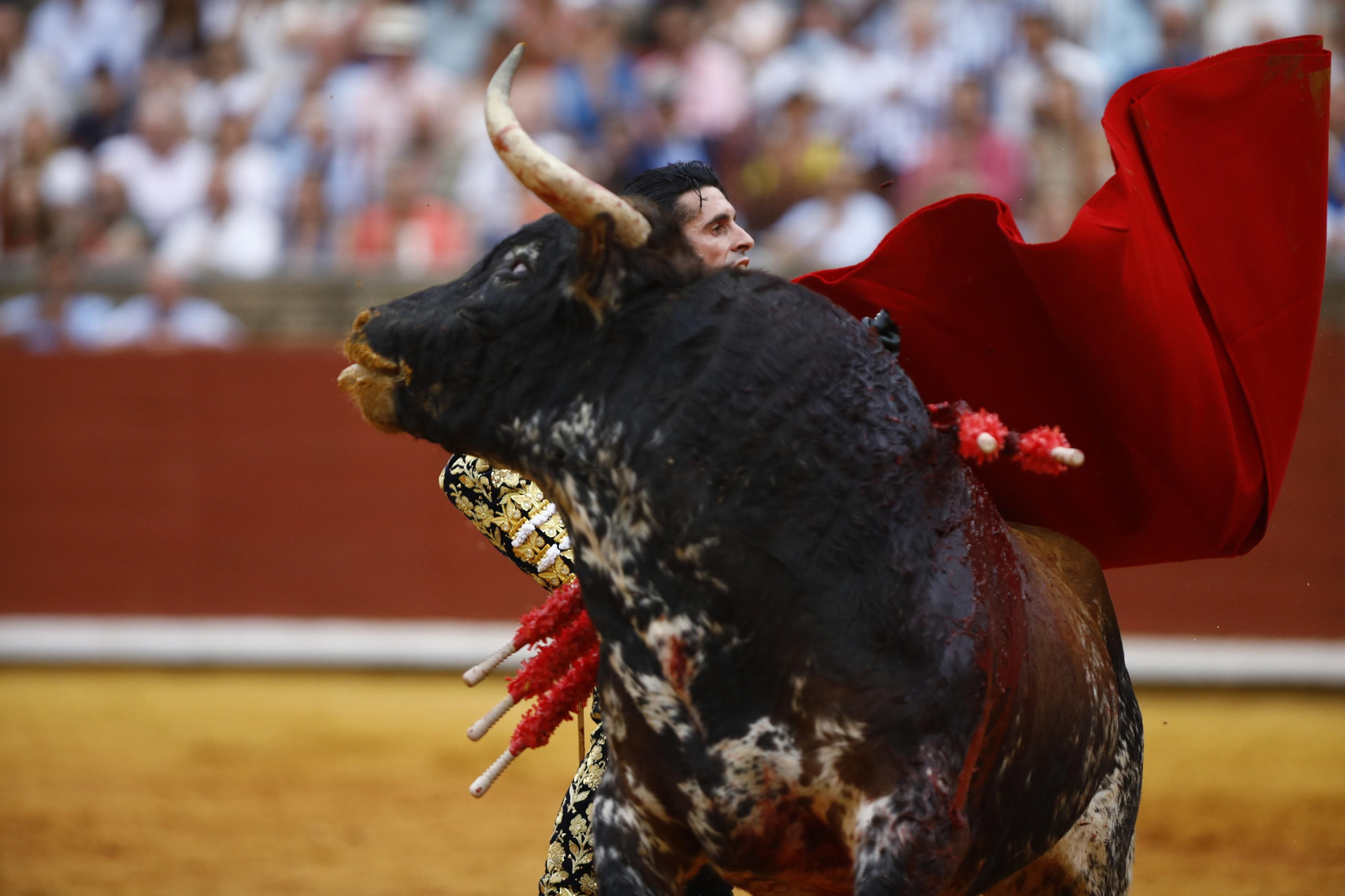 La corrida de Talavante, Roca Rey y Lagartijo, en Córdoba, en imágenes