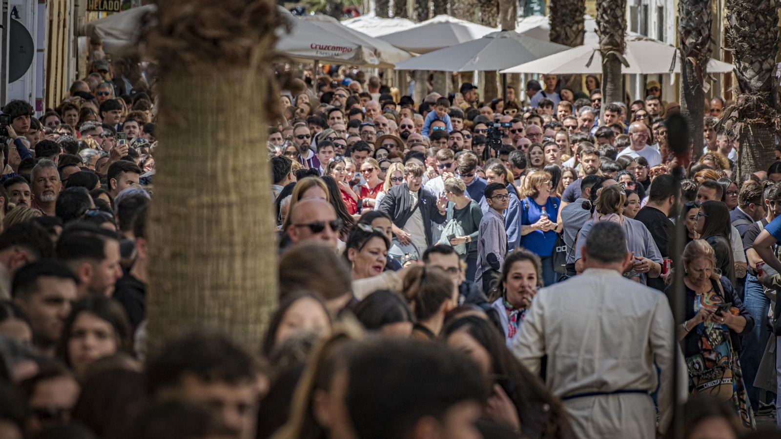 Imágenes de la salida de La Palma en la Semana Santa de Cádiz 2025