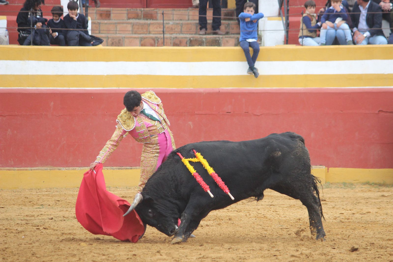Rafael Camino dejó instantes importantes frente a este notable novillo que saltó al ruedo en cuarto lugar.