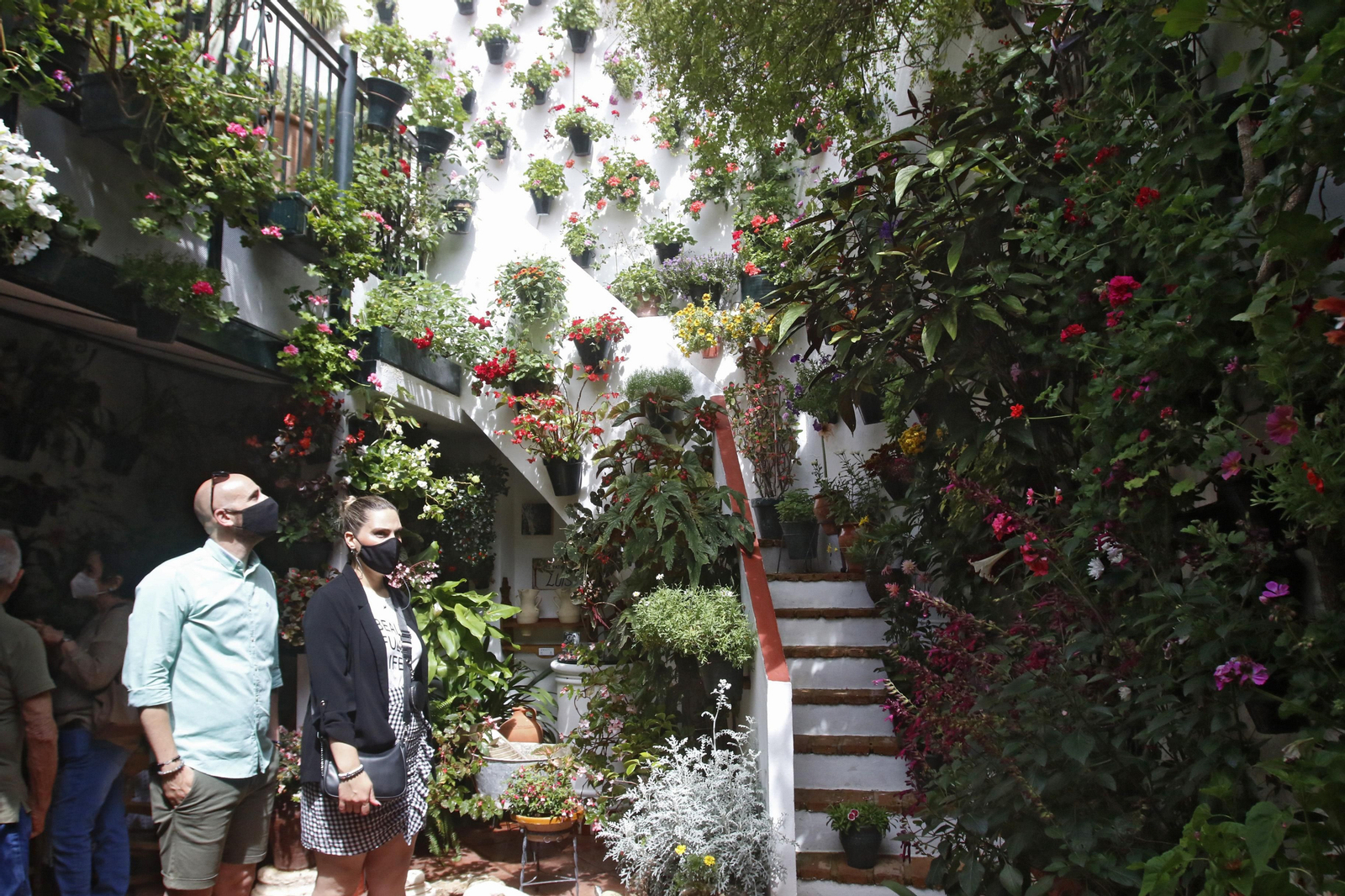 Ruta Alcázar Viejo de los Patios de Córdoba, en imágenes
