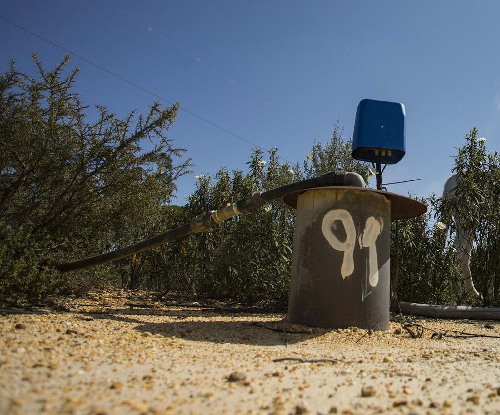 Un pozo ilegal en el entorno de Doñana.