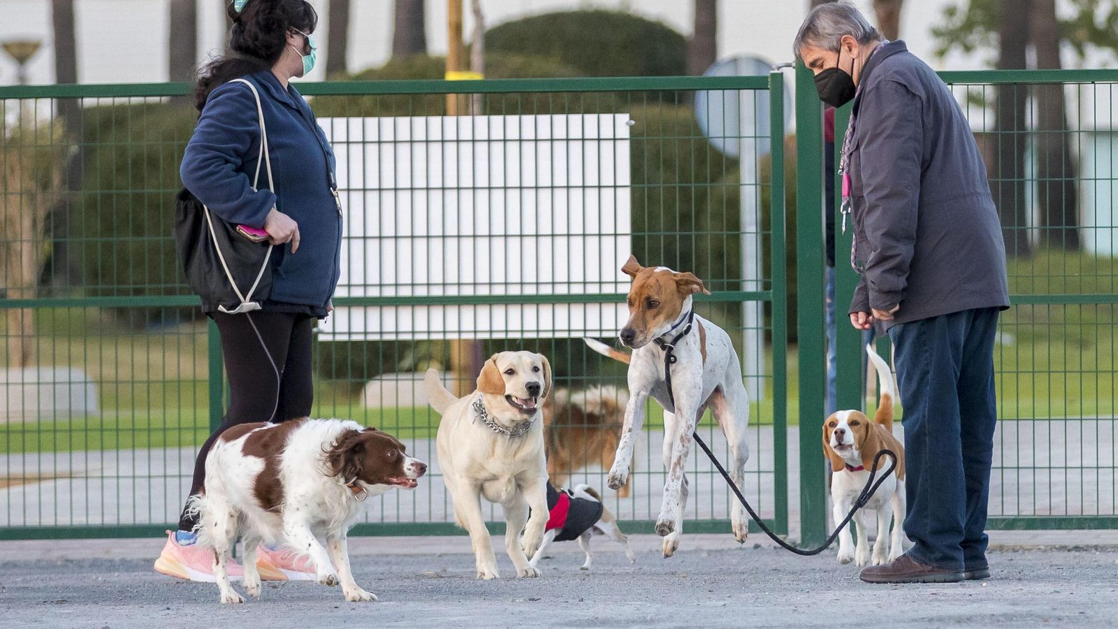 Con el nuevo parque canino de Pescadería, ya son diez los existentes en Huelva.