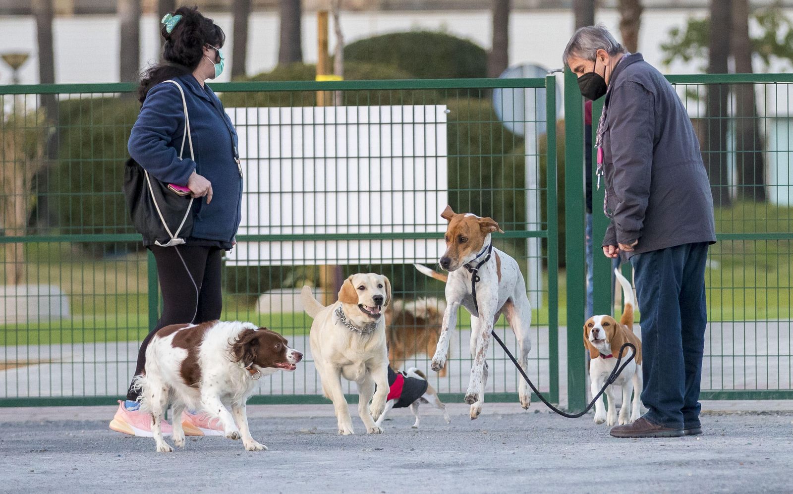 Con el nuevo parque canino de Pescadería, ya son diez los existentes en Huelva.