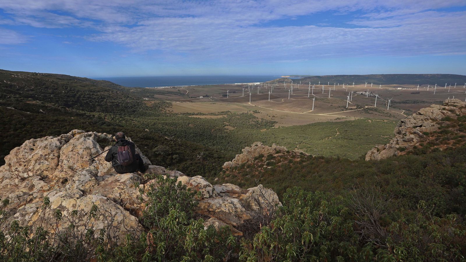 Un paraje actual de la Sierra de la Playa y el Estrecho, en Tarifa.