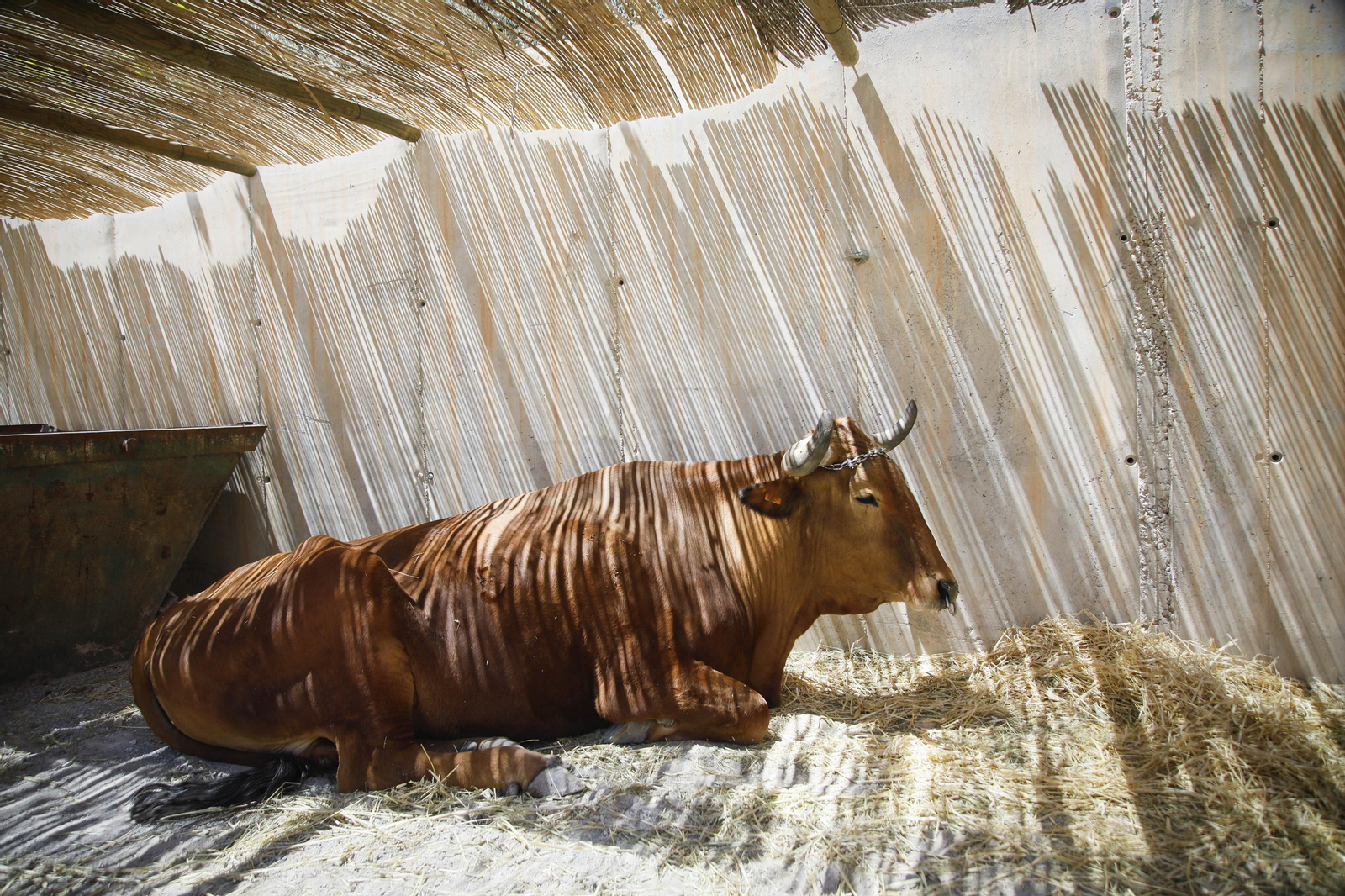 Imágenes de "Canteros y Caciques en la lucha por el Mármol" de Macael