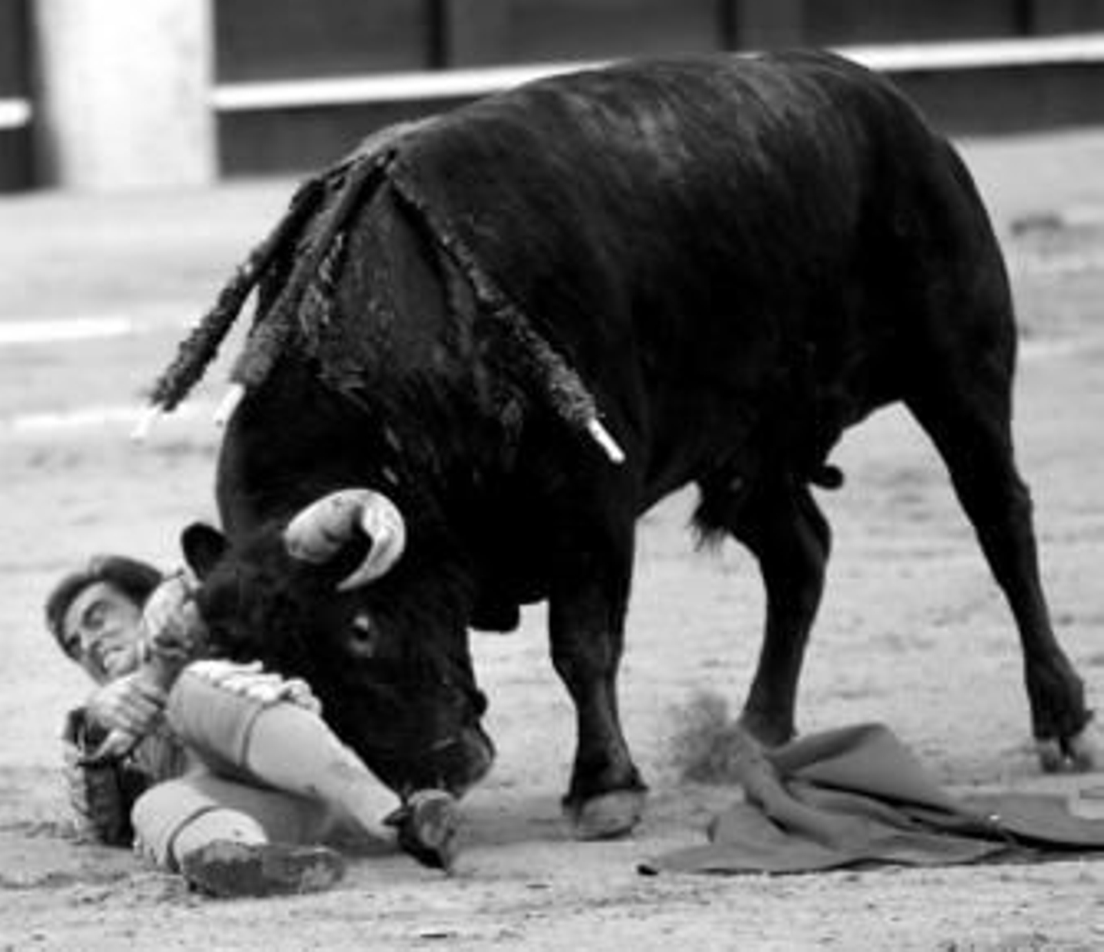 Fernando Cámara se agarra al pitón derecho del toro para evitar la cornada, aunque se fracturó el fémur izquierdo al caer.