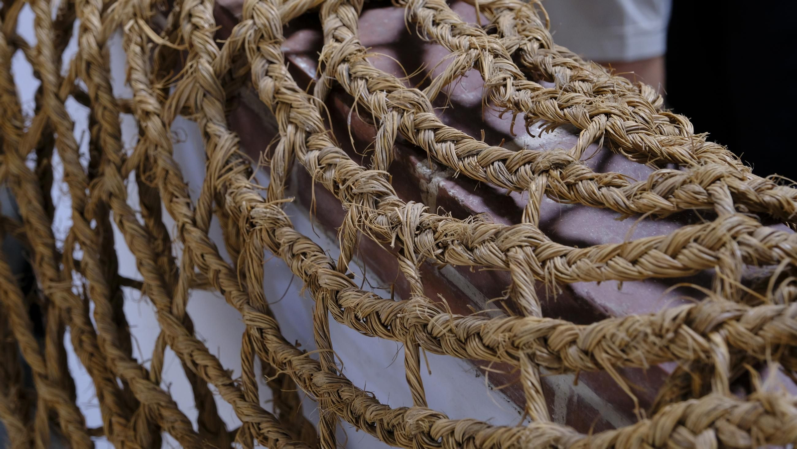 Recorrido por el cortijo El Romeral con 1200 cabras celtibéricas, en imágenes