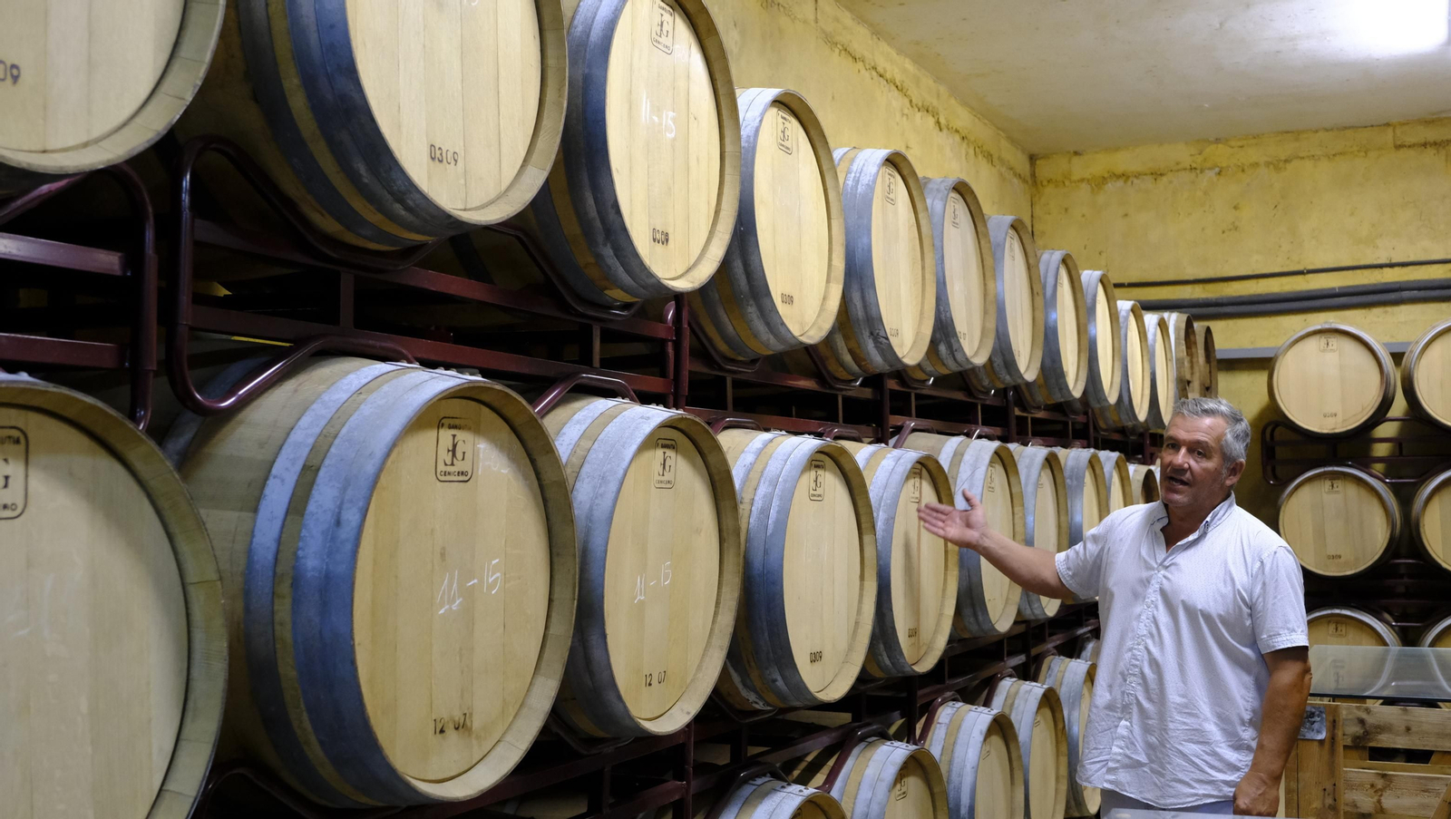 Llega la vendimia a las Bodegas Perfer, en Uleila del Campo