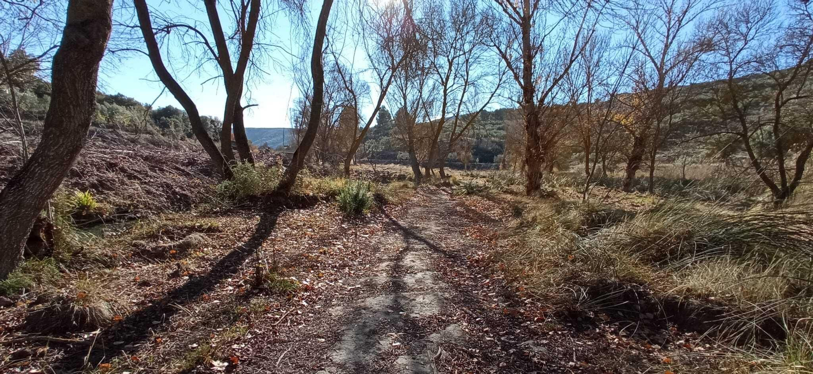 Las imágenes de la ruta del Bosque Encantado de Higueras