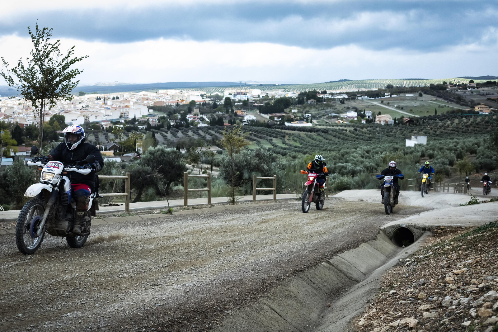 ¿Estuviste en la tercera edición de la ruta Olivobook? Búscate