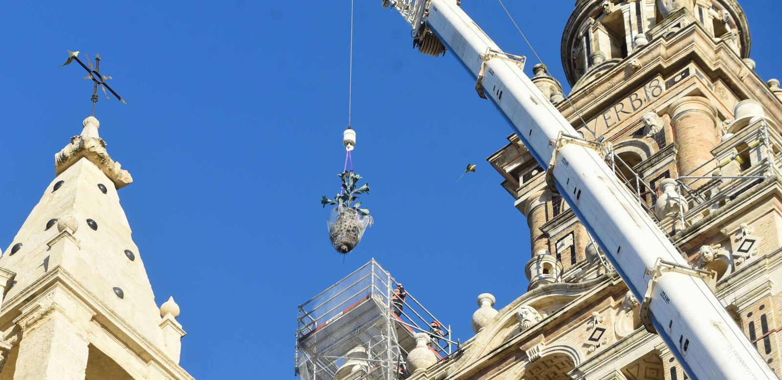 La retirada de las jarras de las azucenas de la Giralda, en imágenes