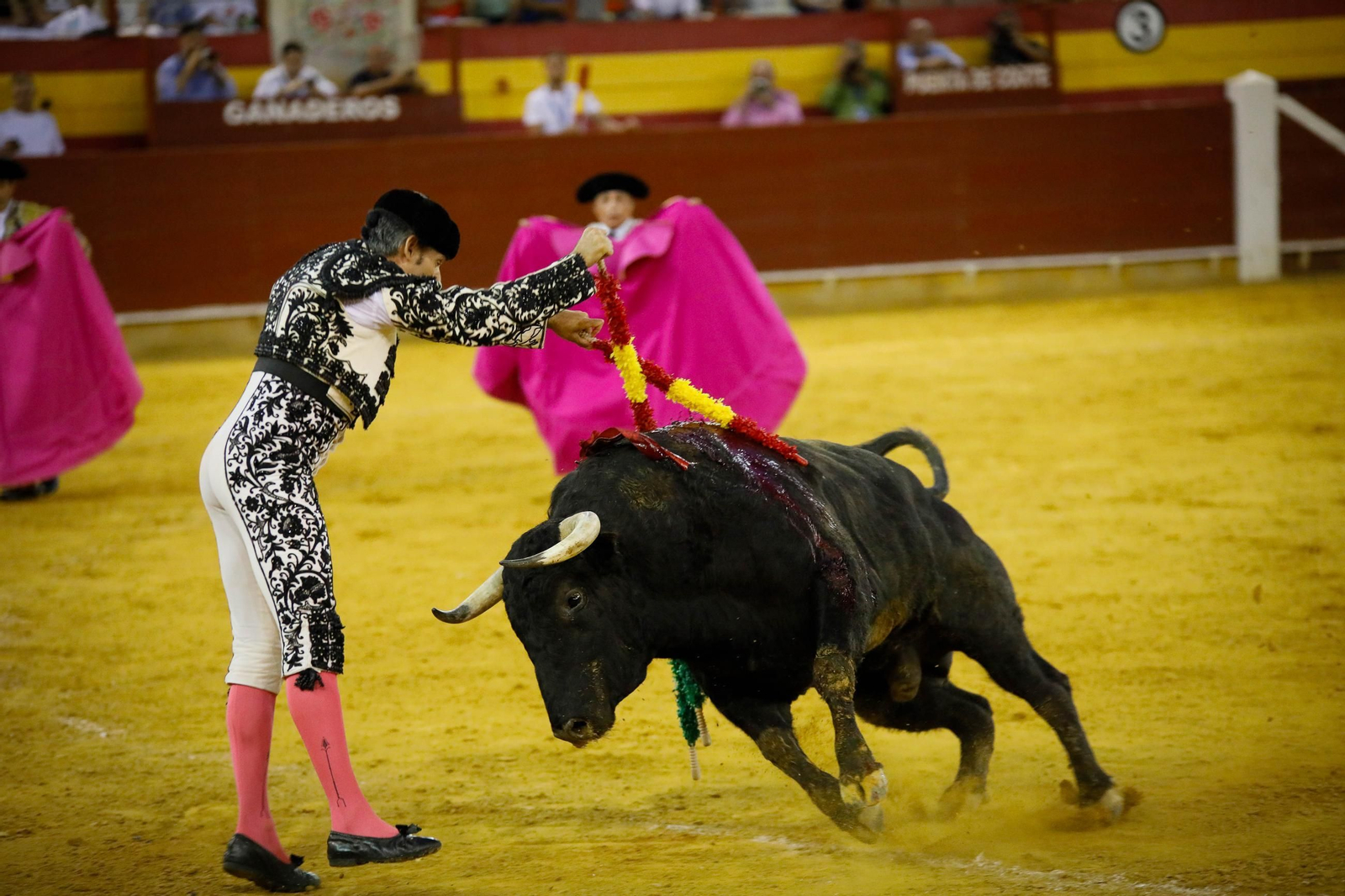 Imágenes de la corrida de toros en Roquetas de Mar