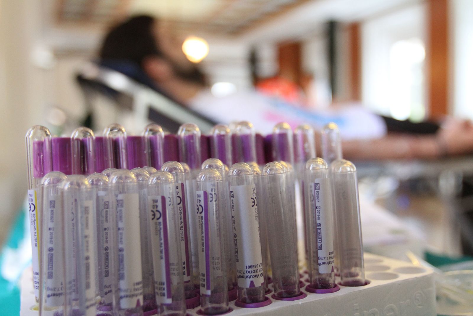 Macrocolecta de sangre en la Casa Colón