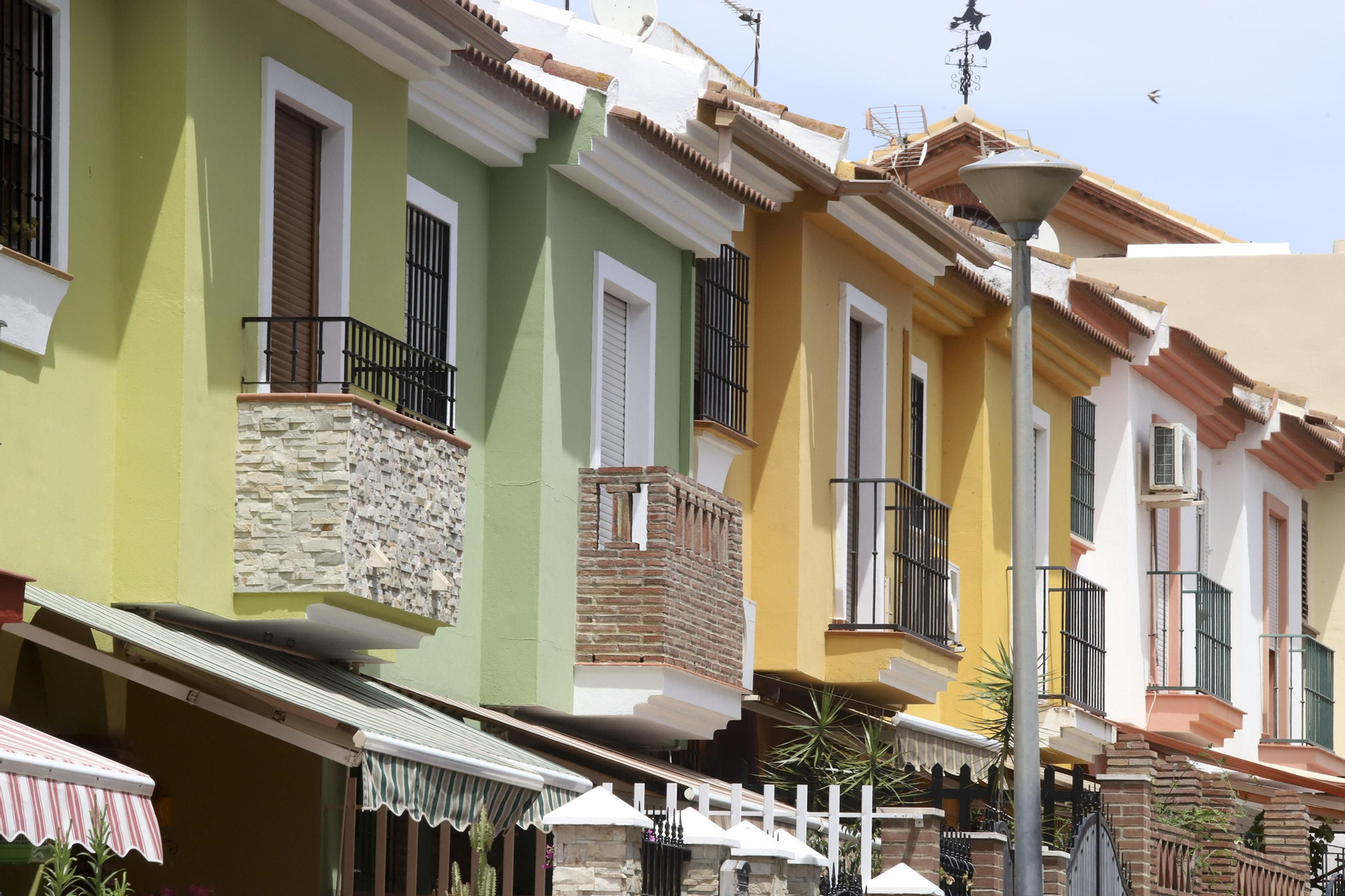 Campanillas en fotos