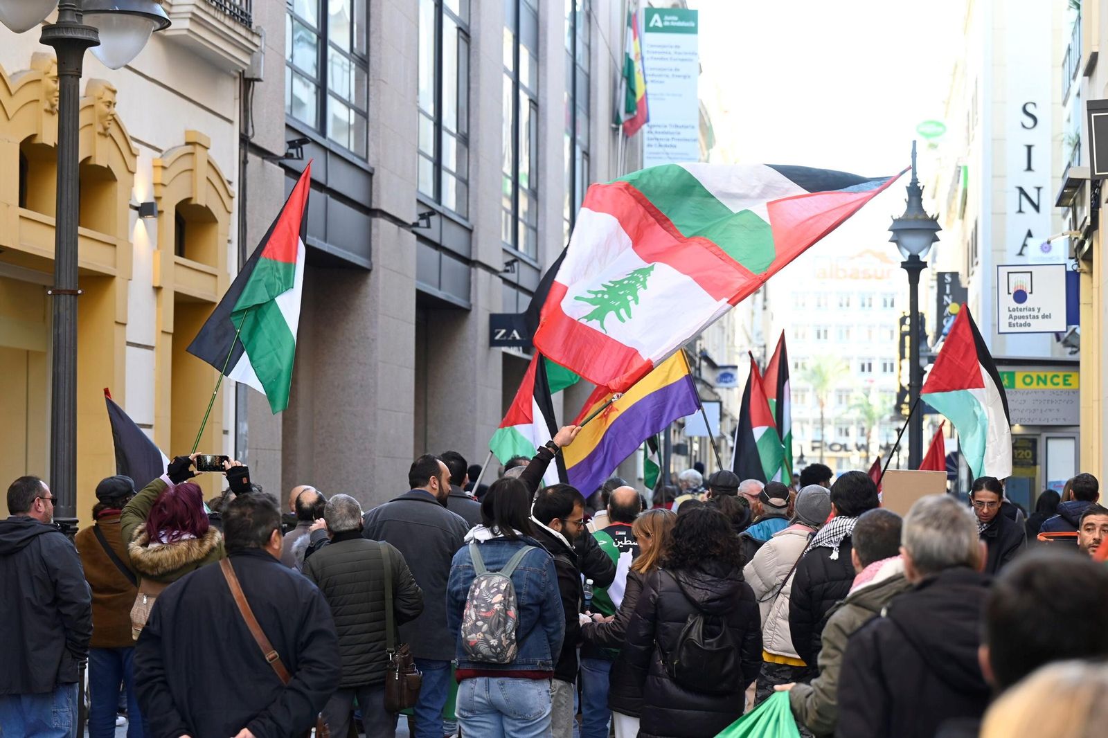 Las imágenes de la manifestación de las iniciativas de solidaridad con Palestina en Córdoba