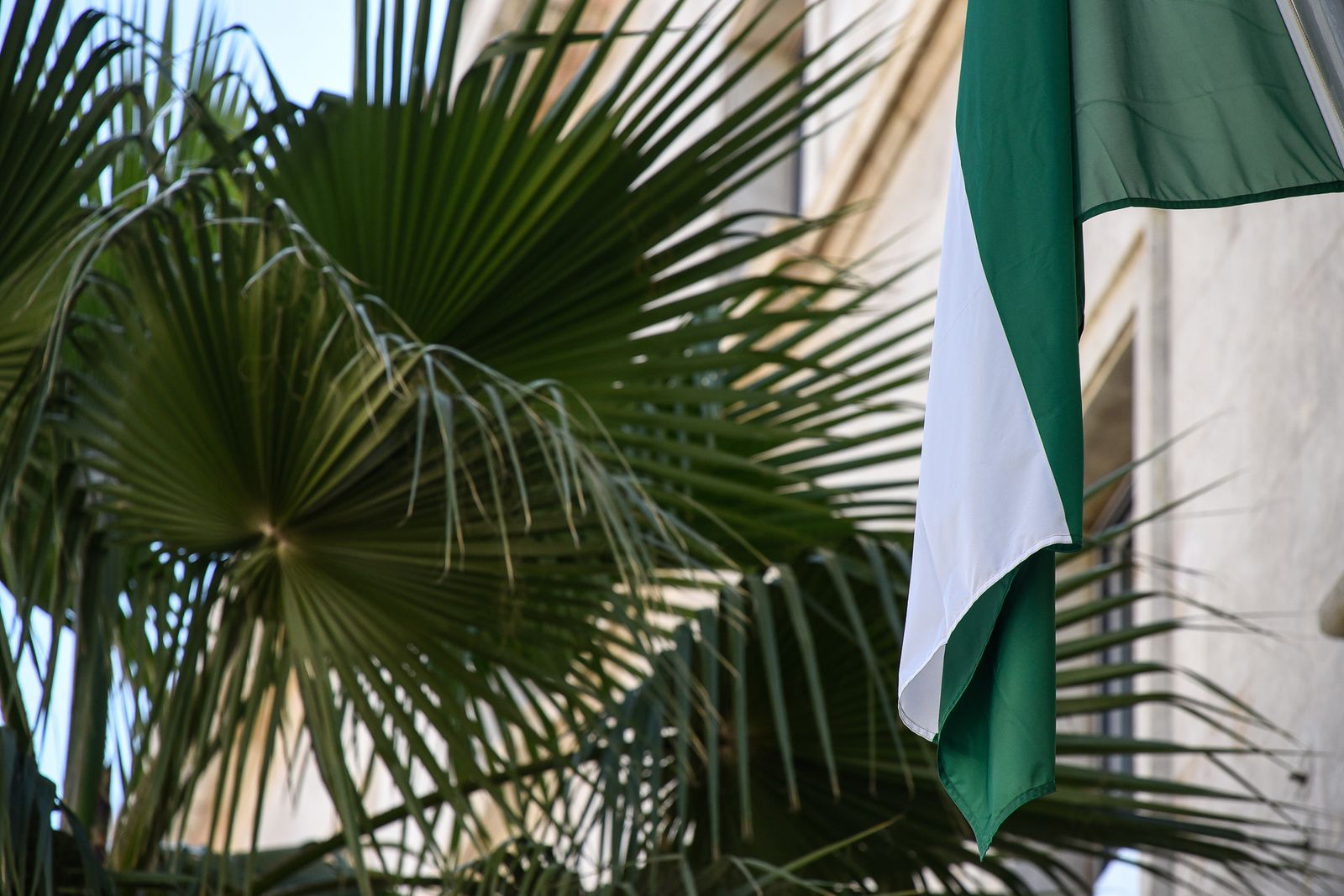 Imágenes del martes 28 de febrero en Huelva