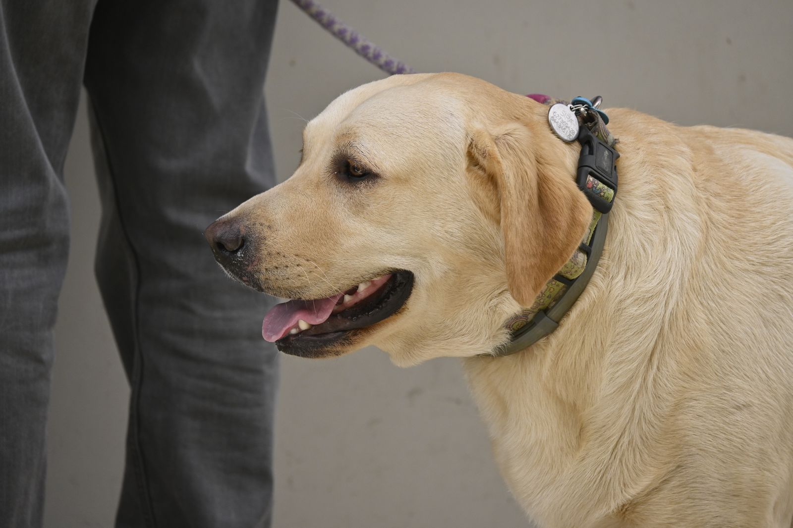 Las imágenes más destacadas del martes 19 de septiembre en Huelva
