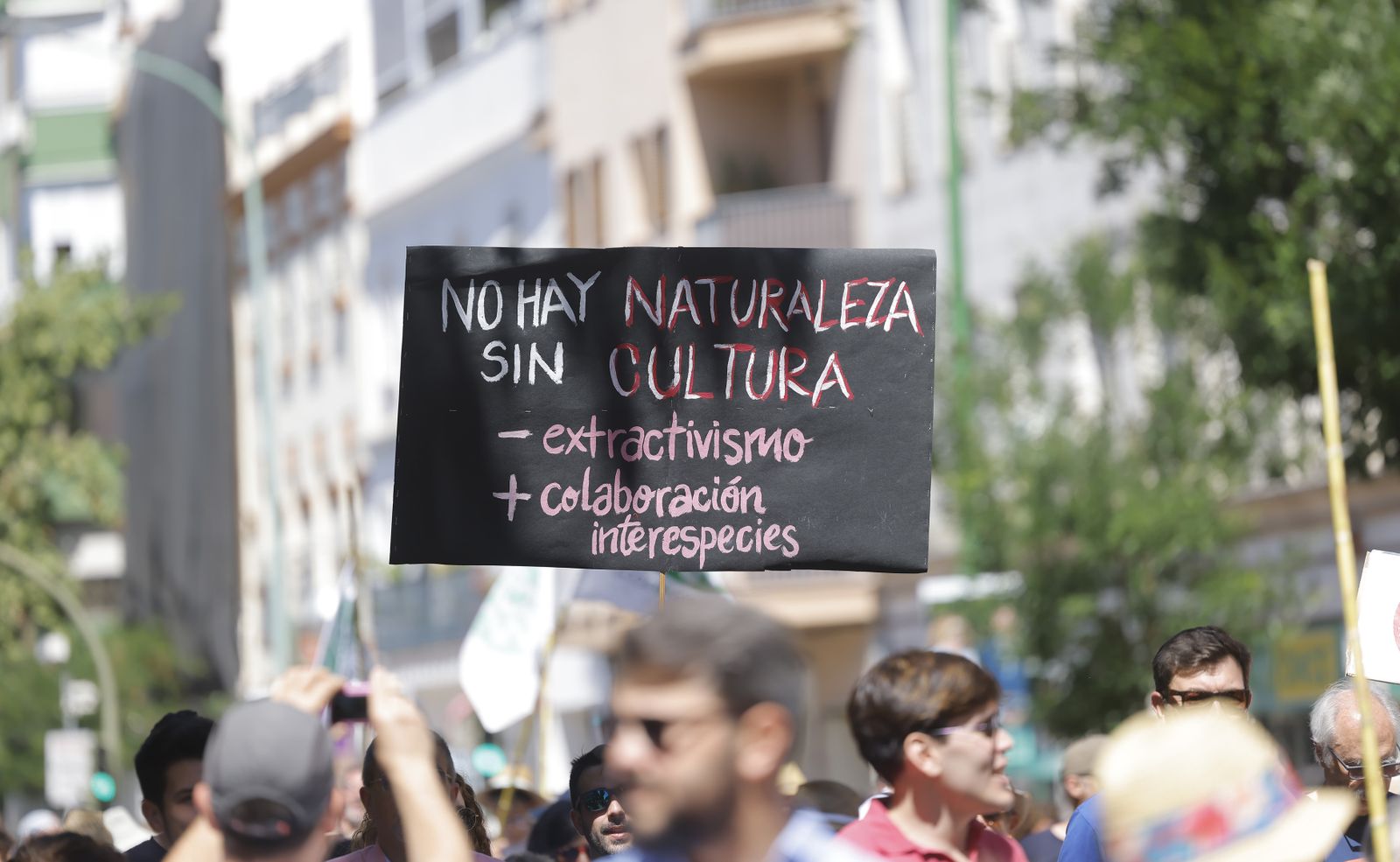 Las fotos de la manifestación en defensa de Doñana