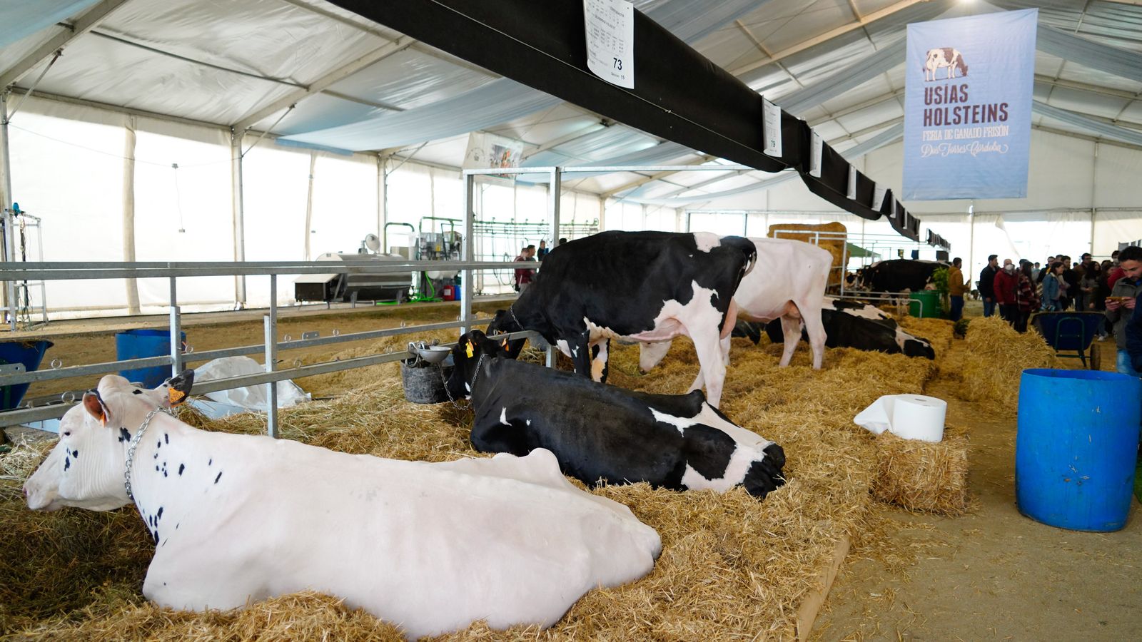 Panorámica del recinto ferial.