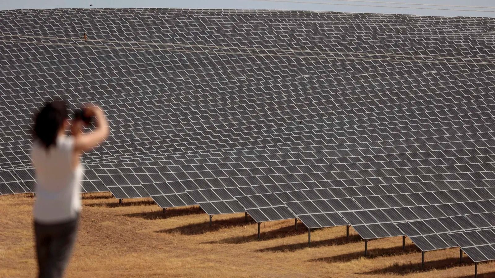 Una planta solar fotovoltaica en Córdoba.