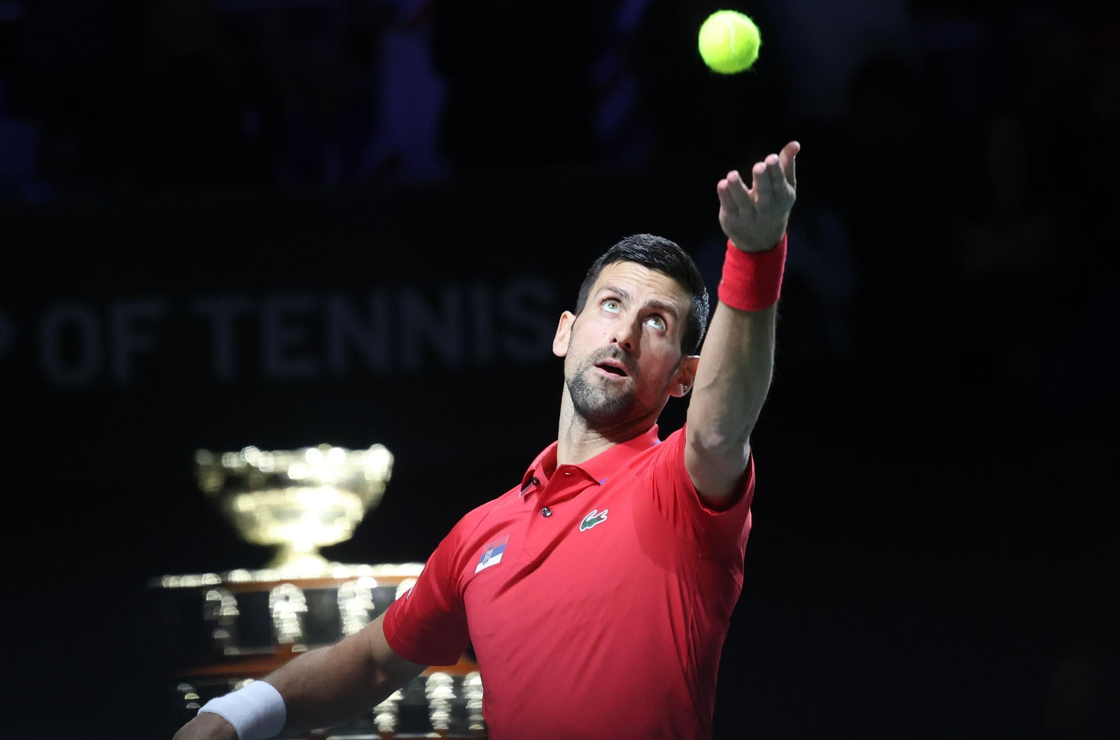 Copa Davis: El show de Djokovic en Málaga, en fotos