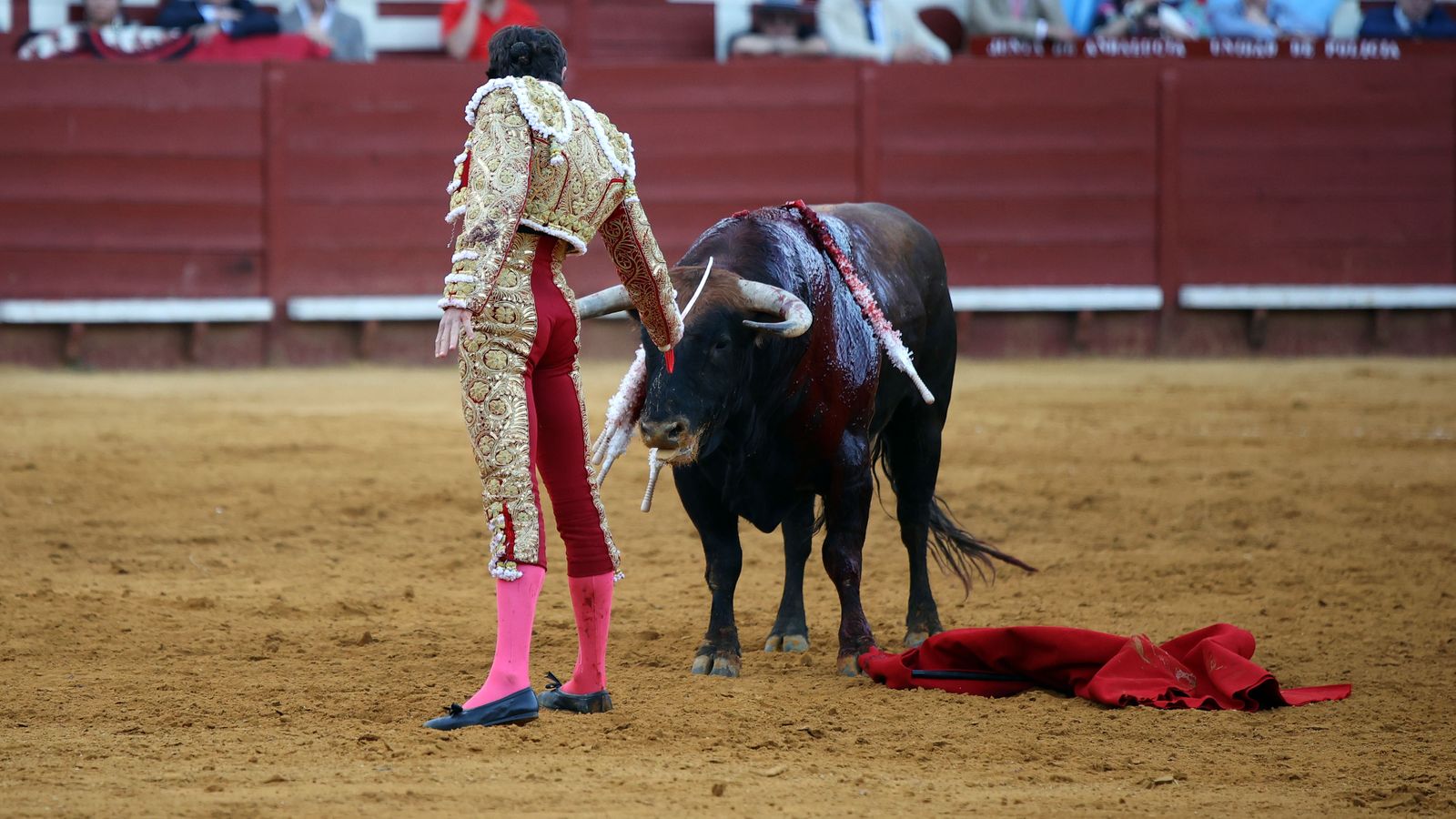 Última tarde de toros de la Feria de Jerez 2024 con Morante, Manzanares y Castella
